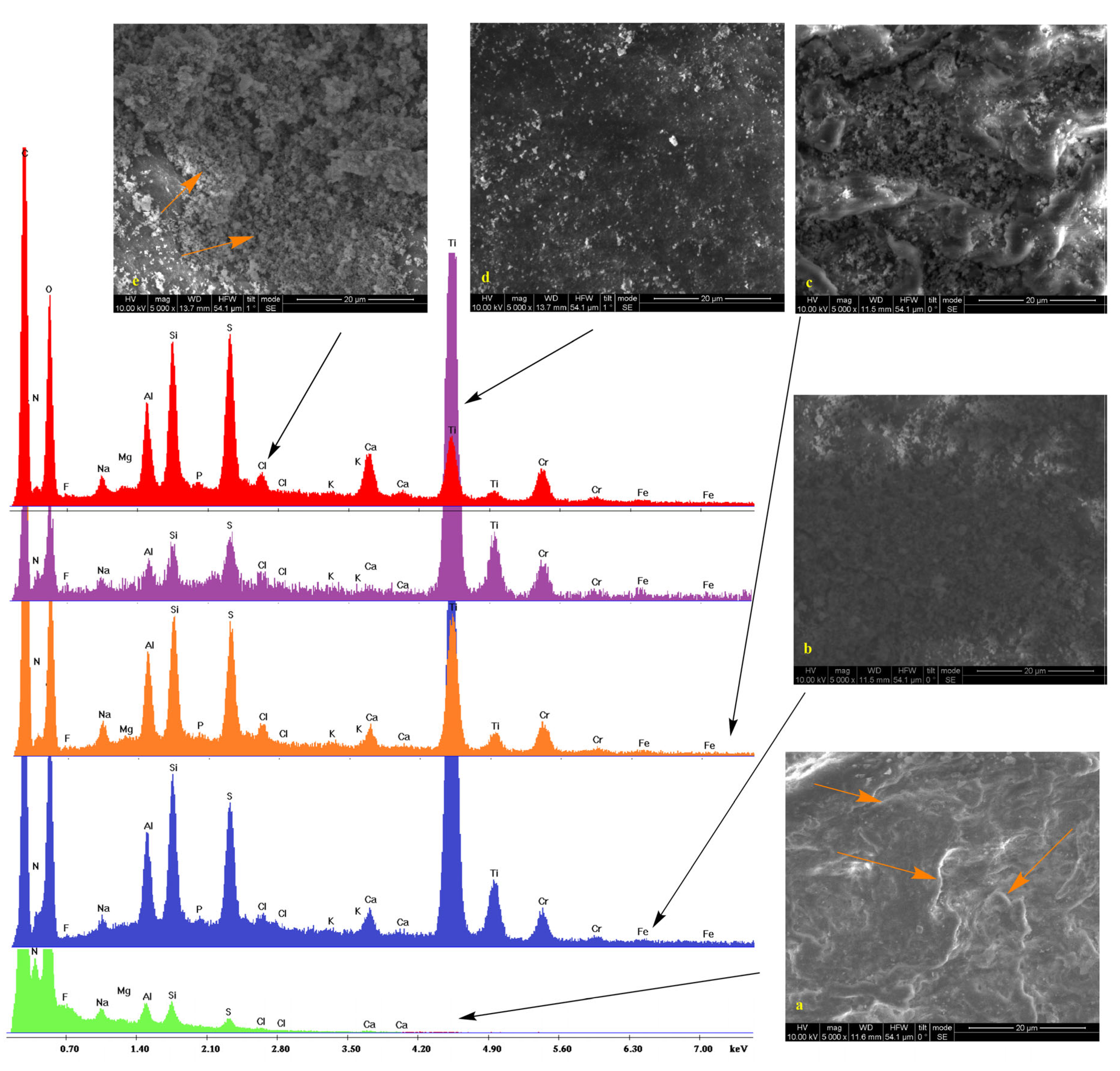 Preprints 80330 g003