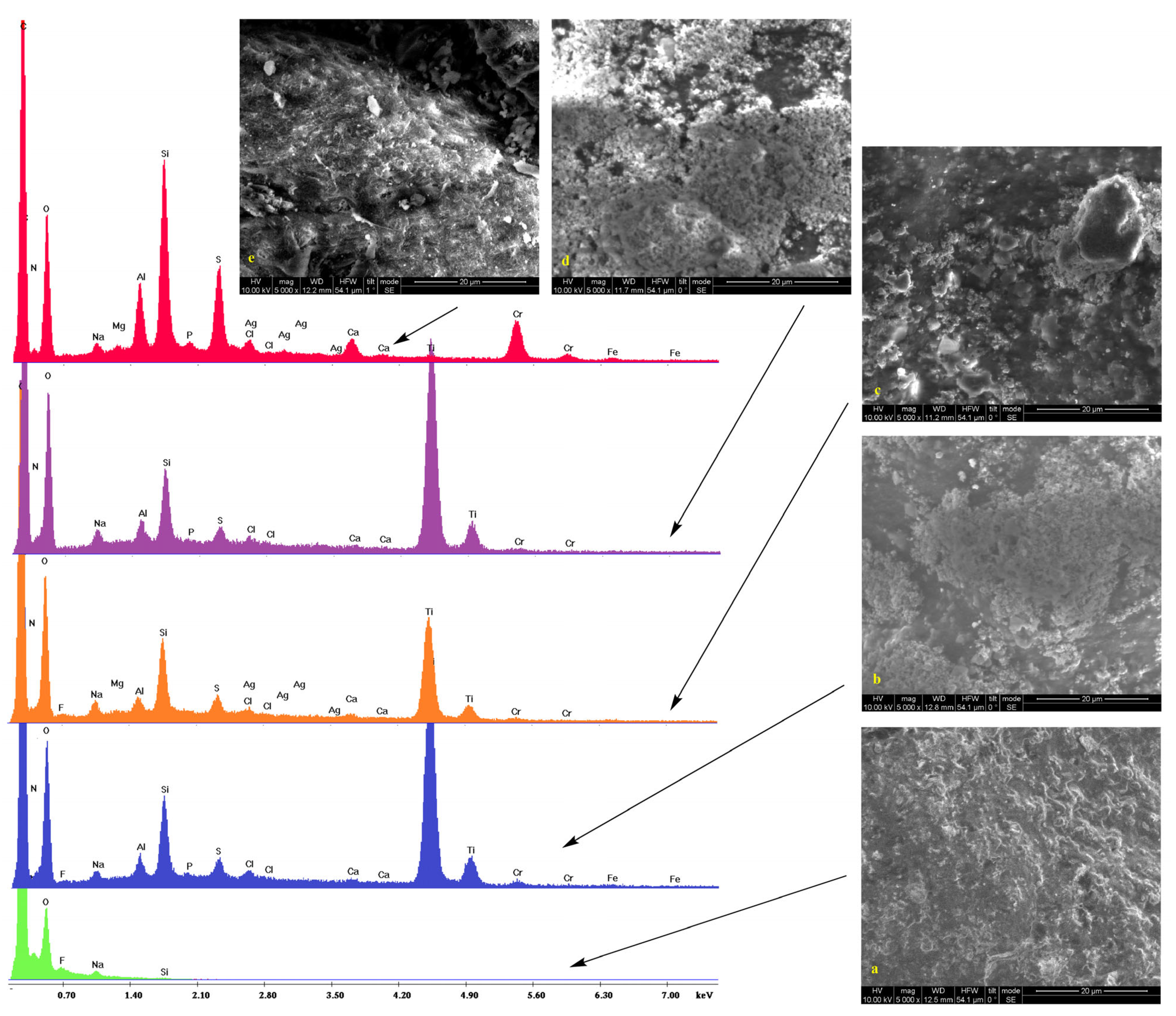 Preprints 80330 g004