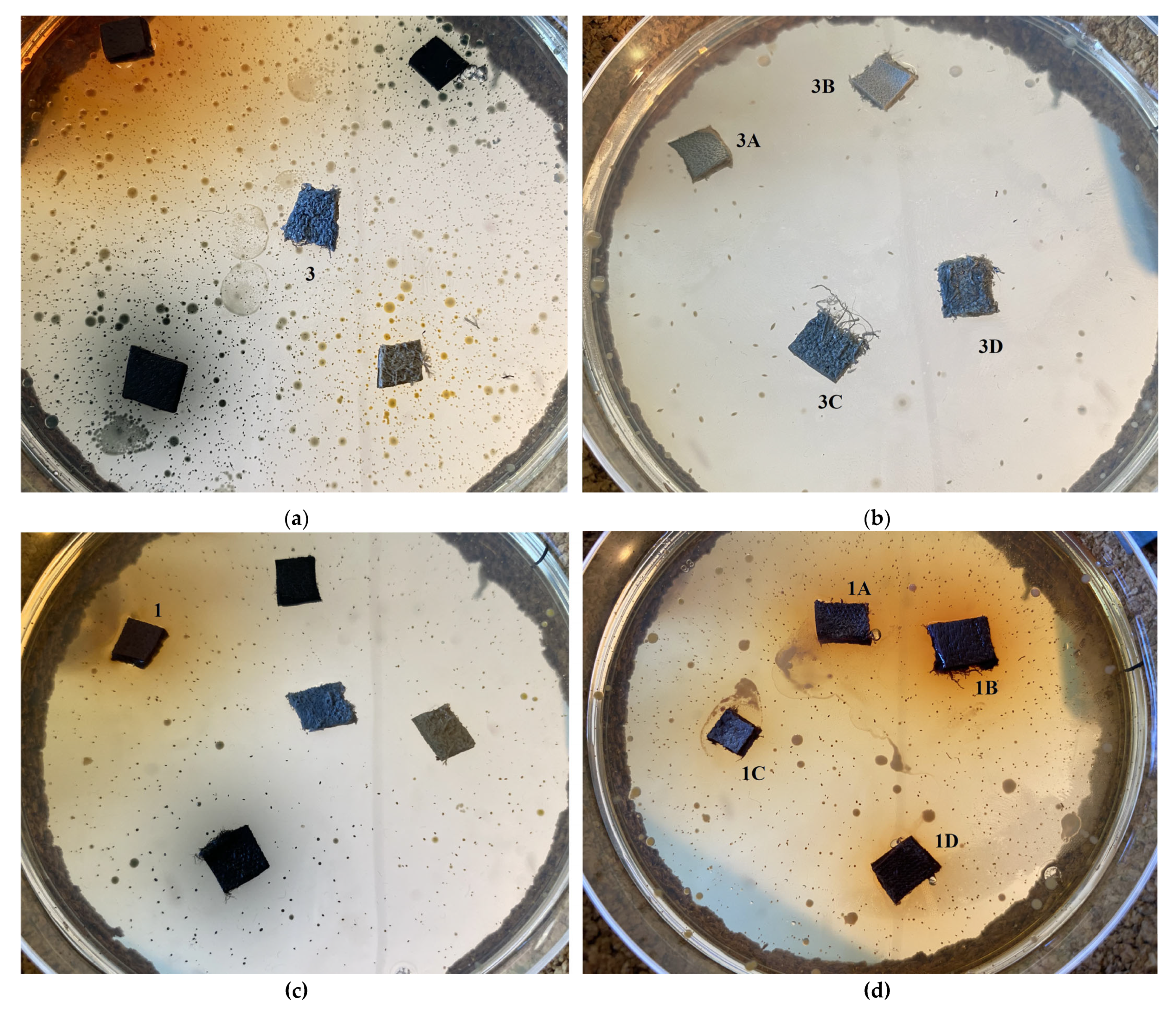 Preprints 80330 g008a