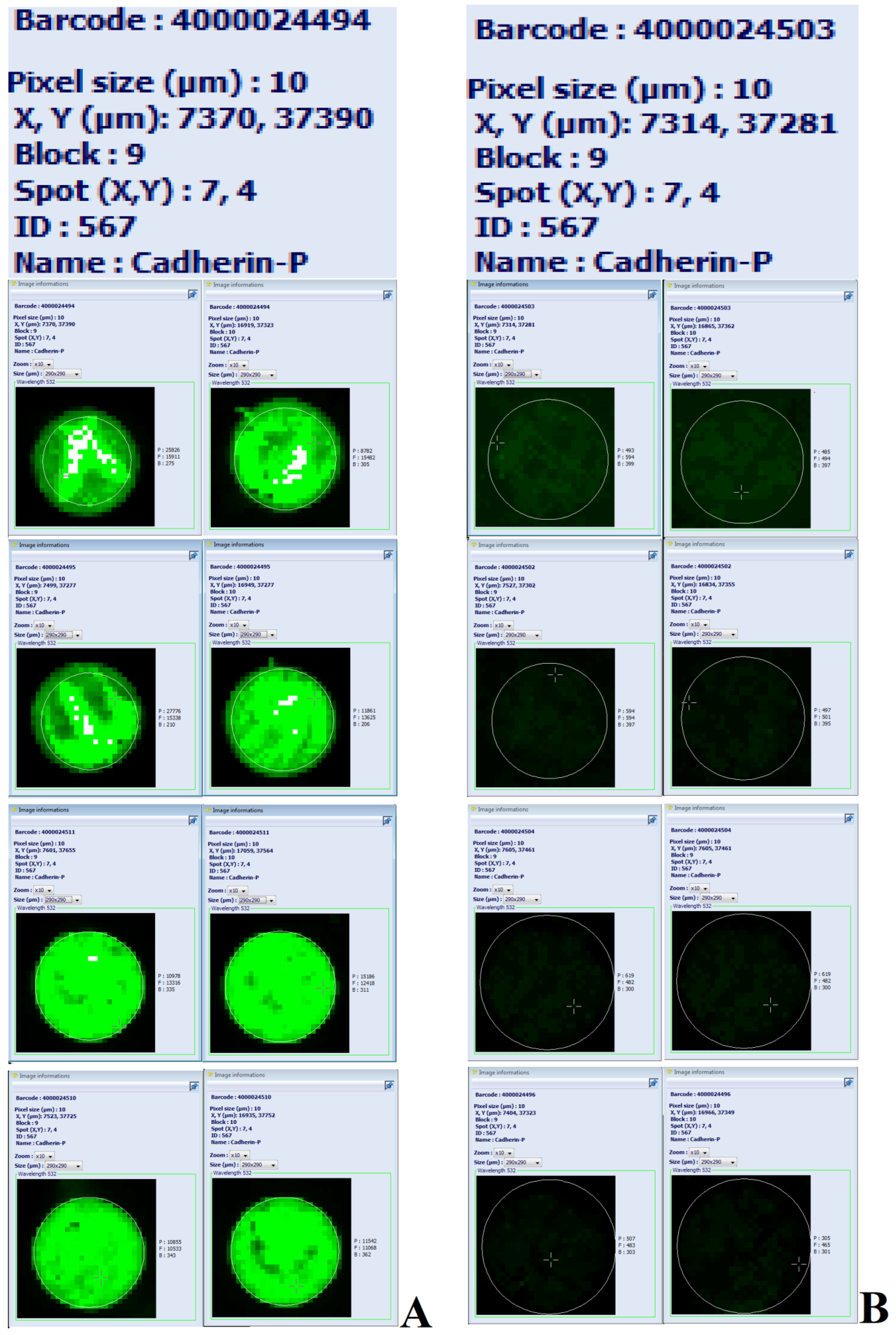 Preprints 119703 g002