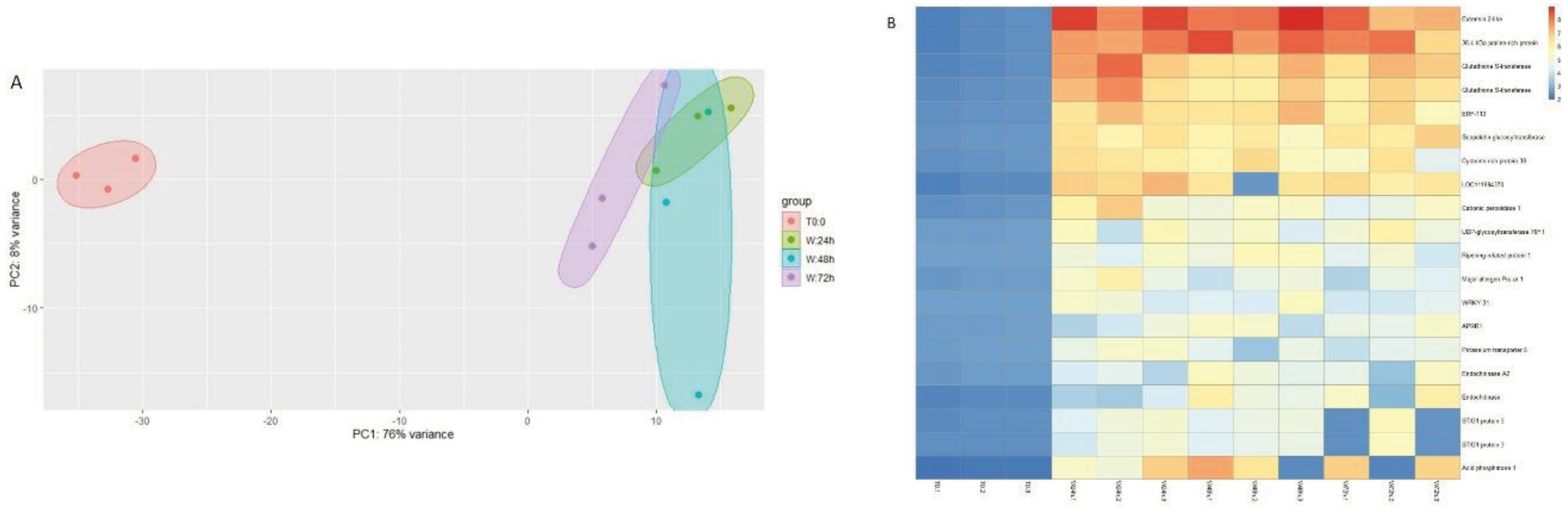 Preprints 100245 g002