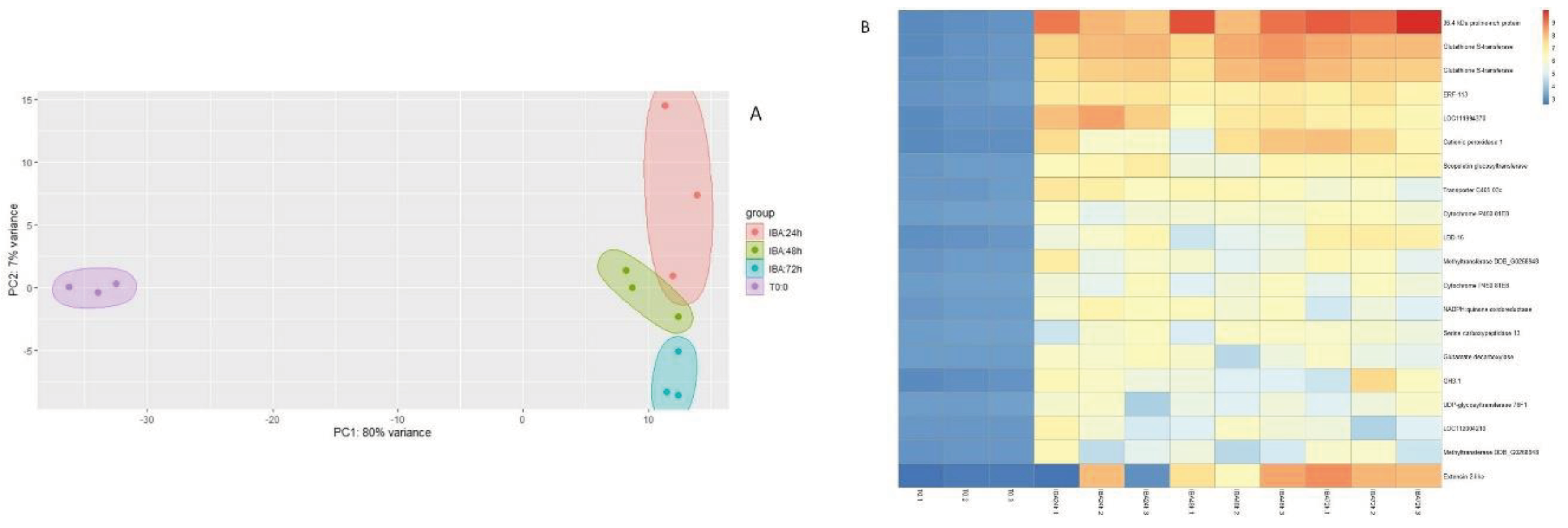 Preprints 100245 g003