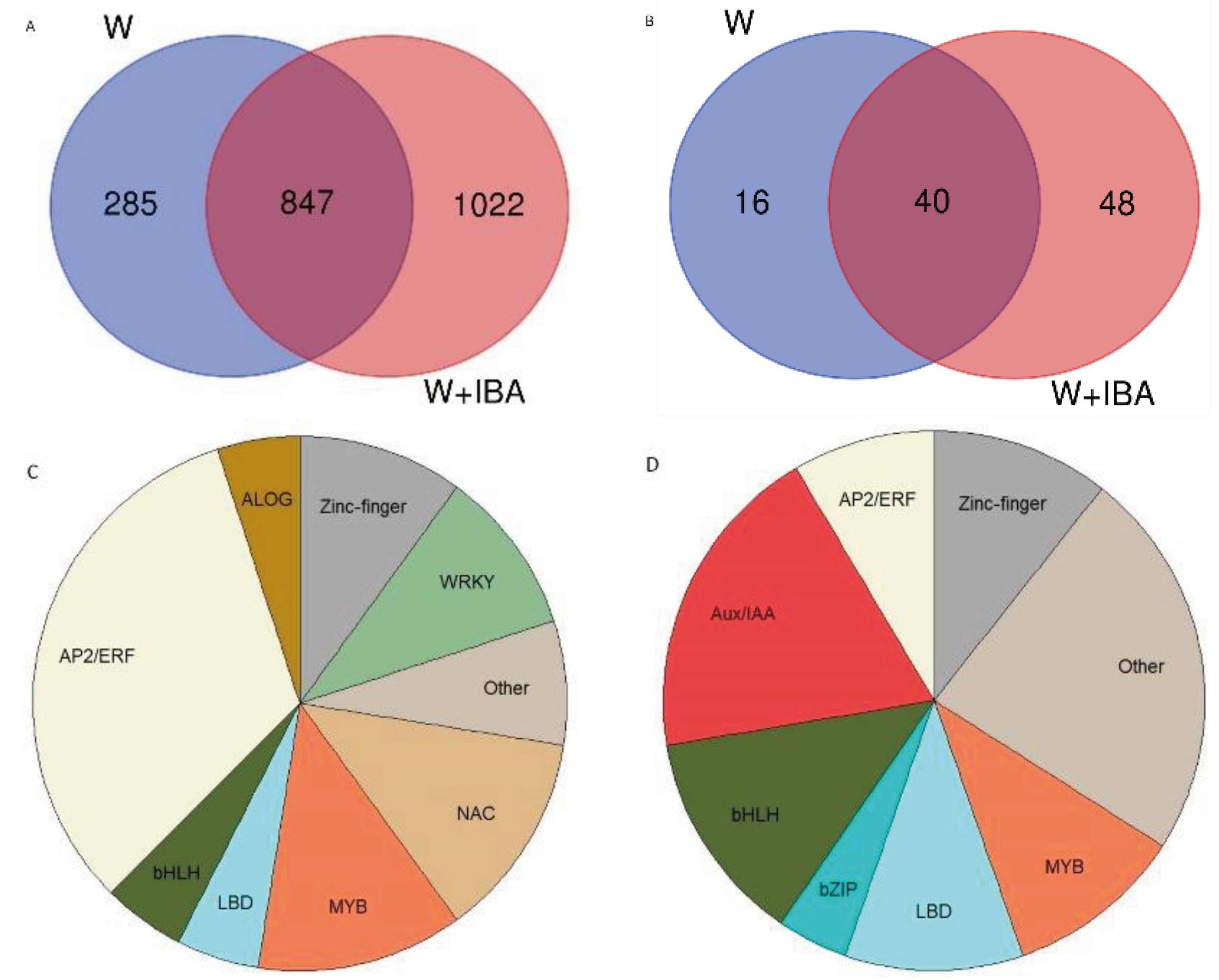 Preprints 100245 g004