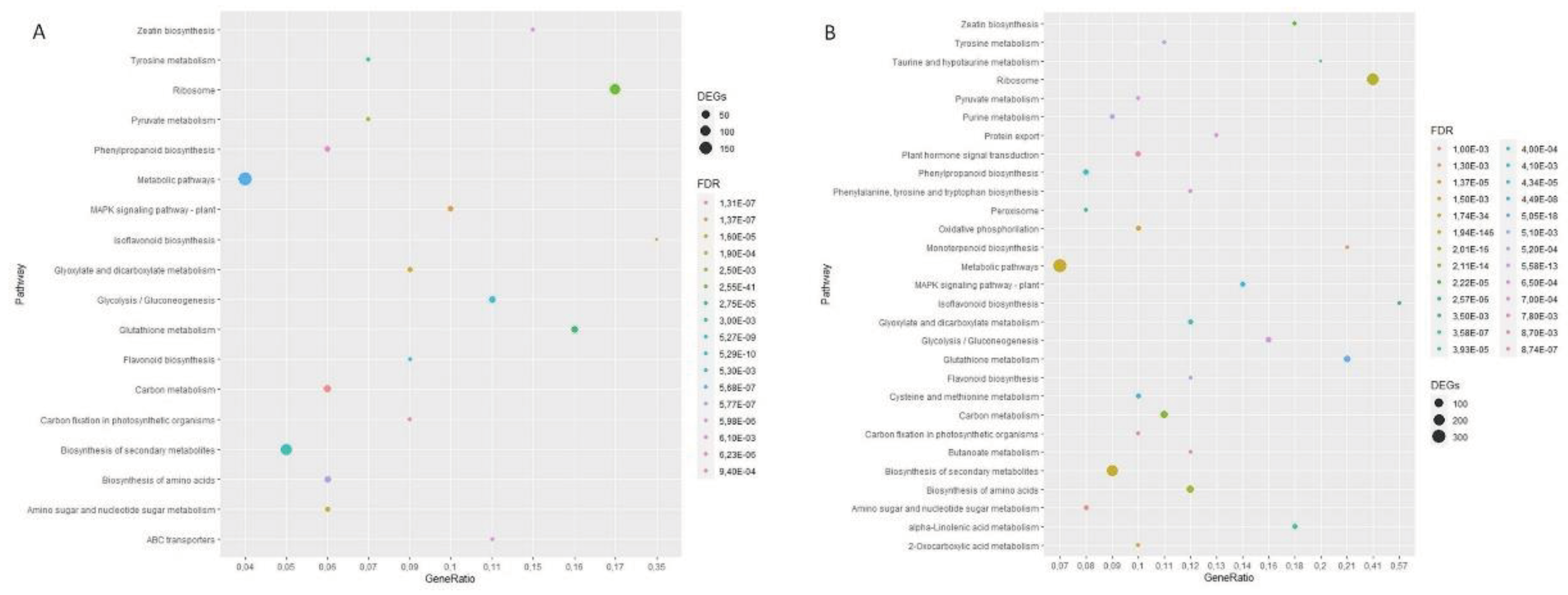 Preprints 100245 g005