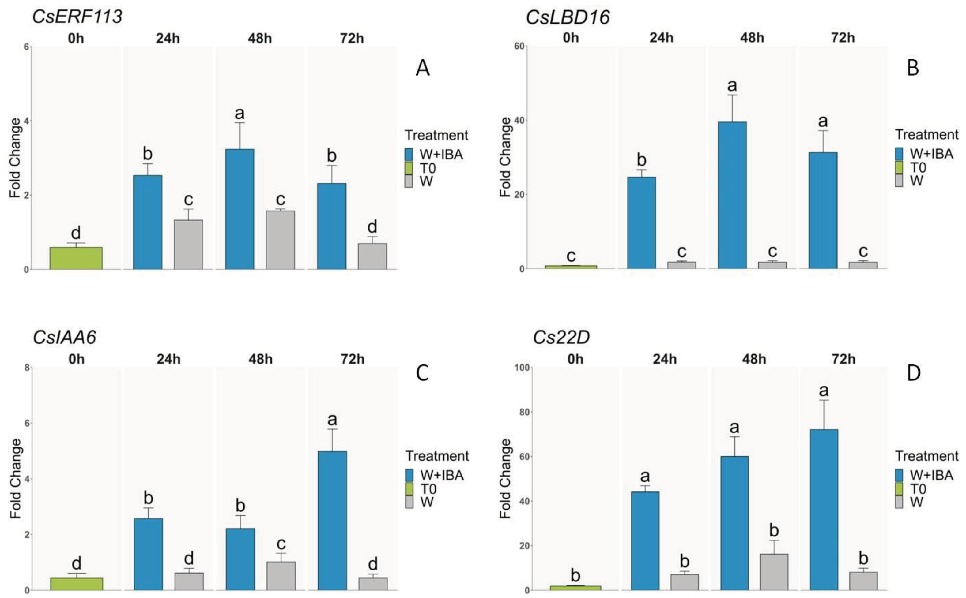 Preprints 100245 g006