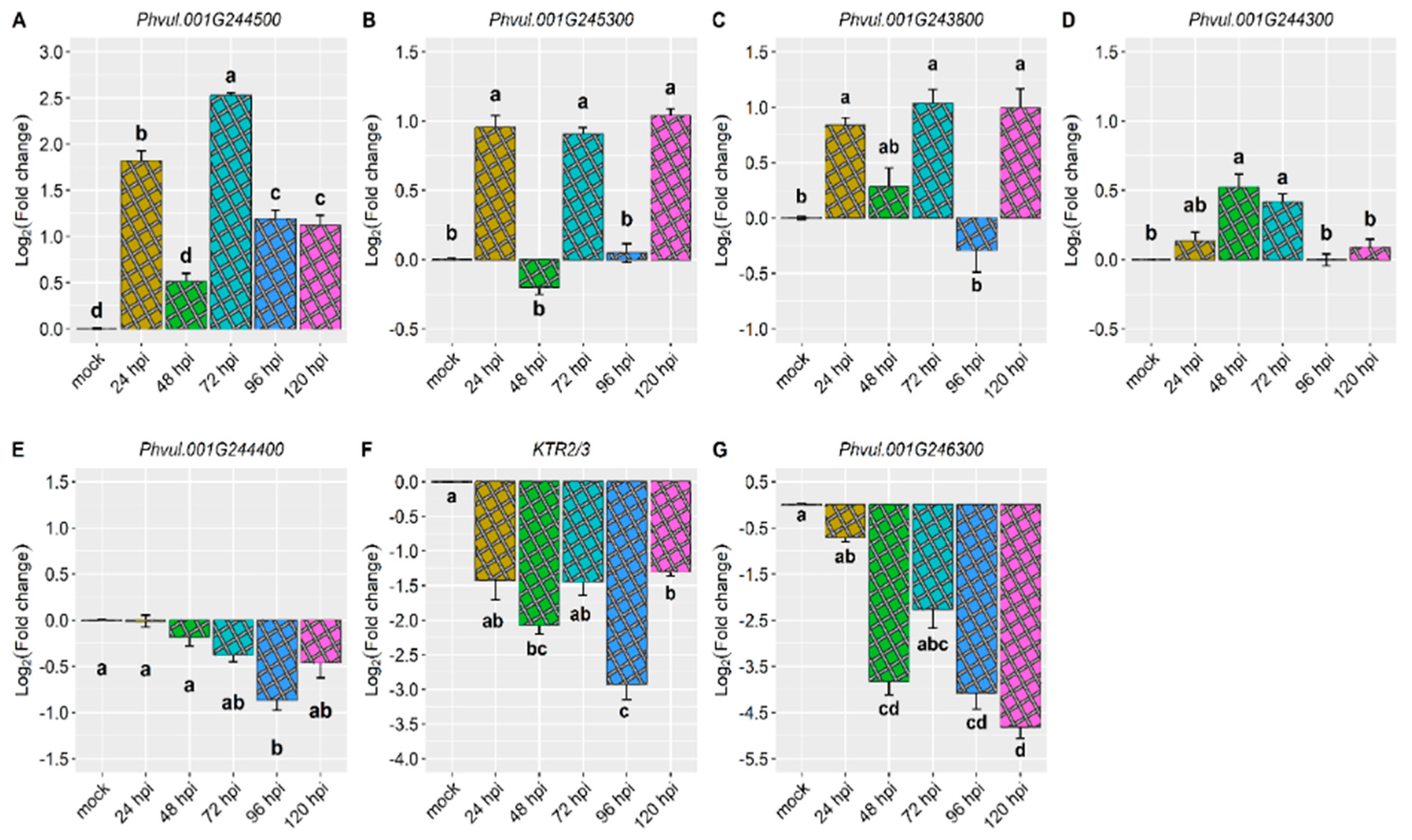 Preprints 92682 g002