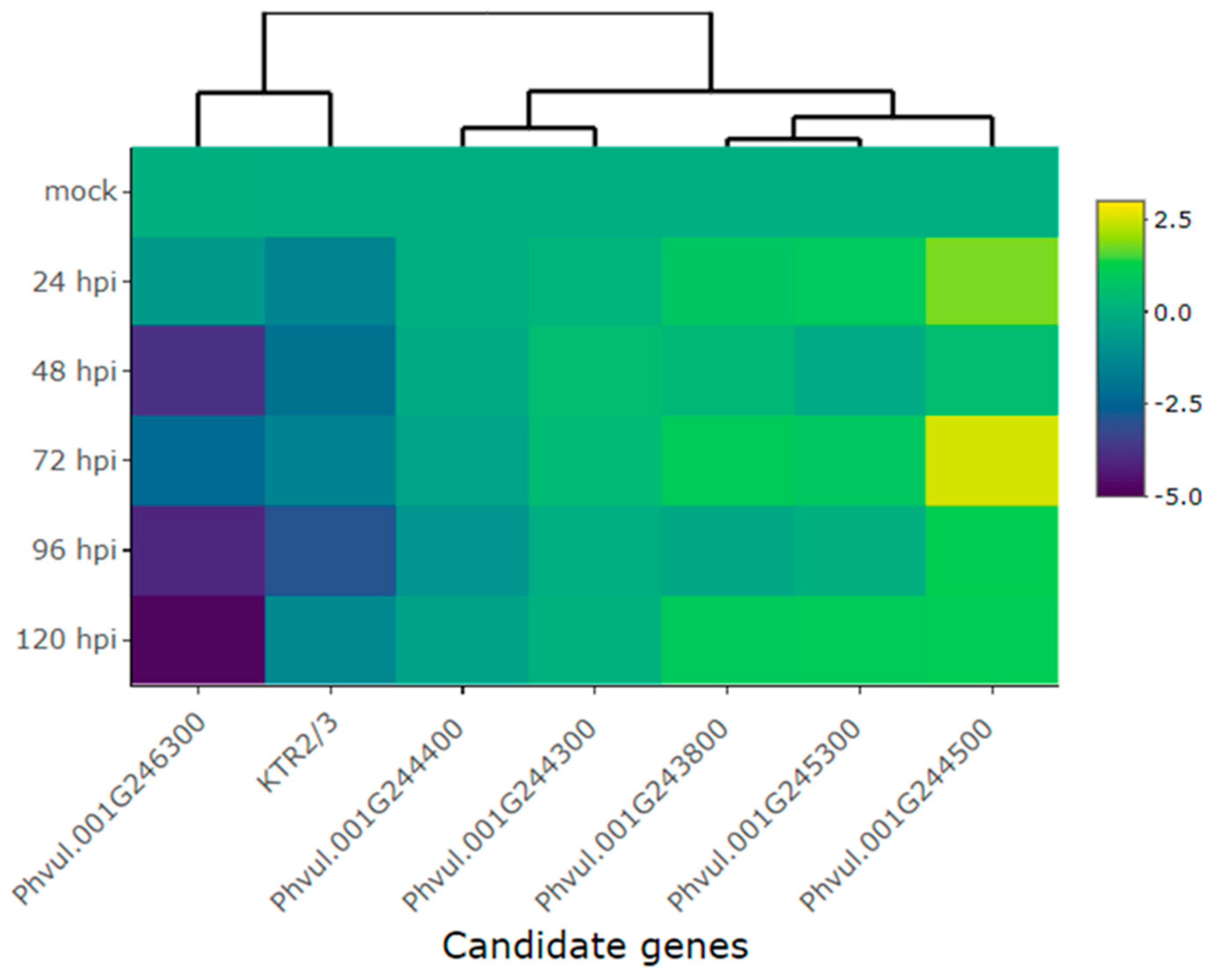 Preprints 92682 g003