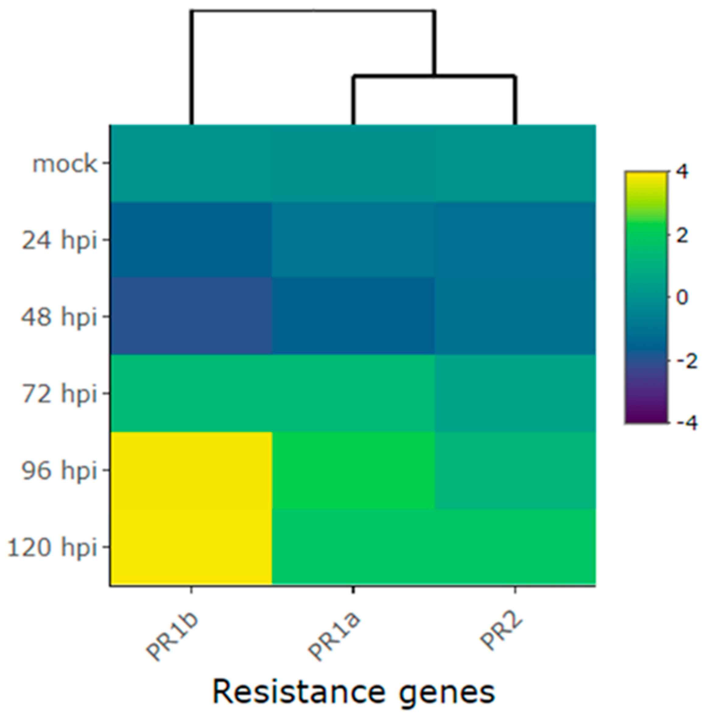 Preprints 92682 g005