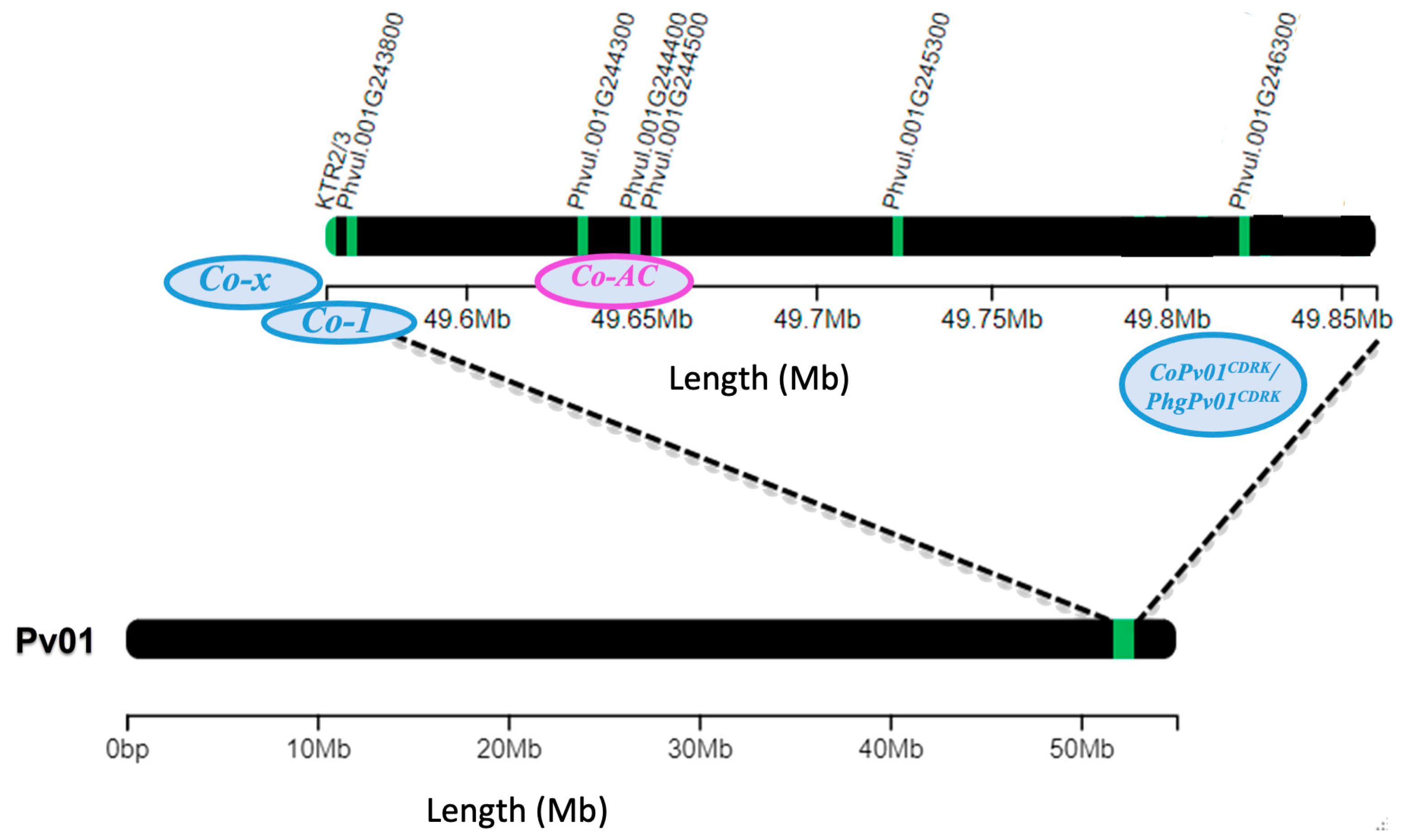 Preprints 92682 g006