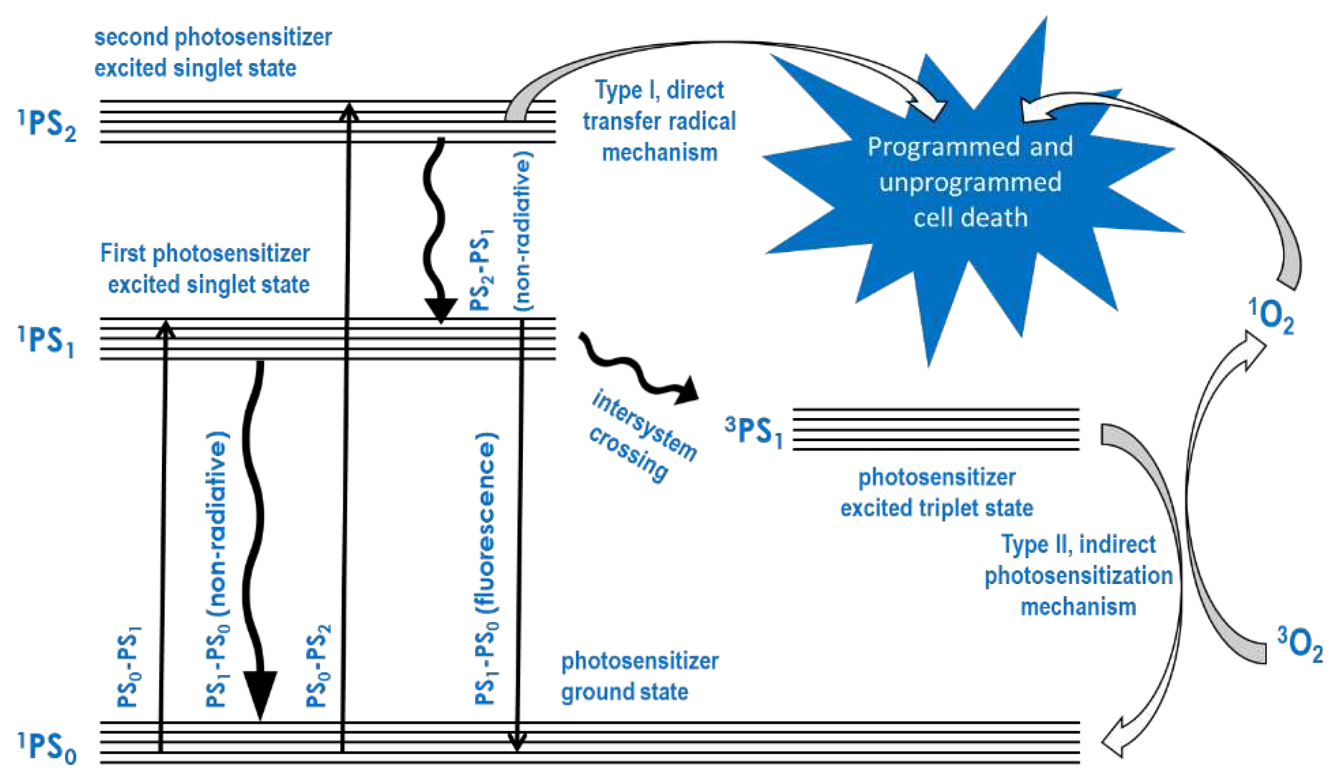 Preprints 70888 g001