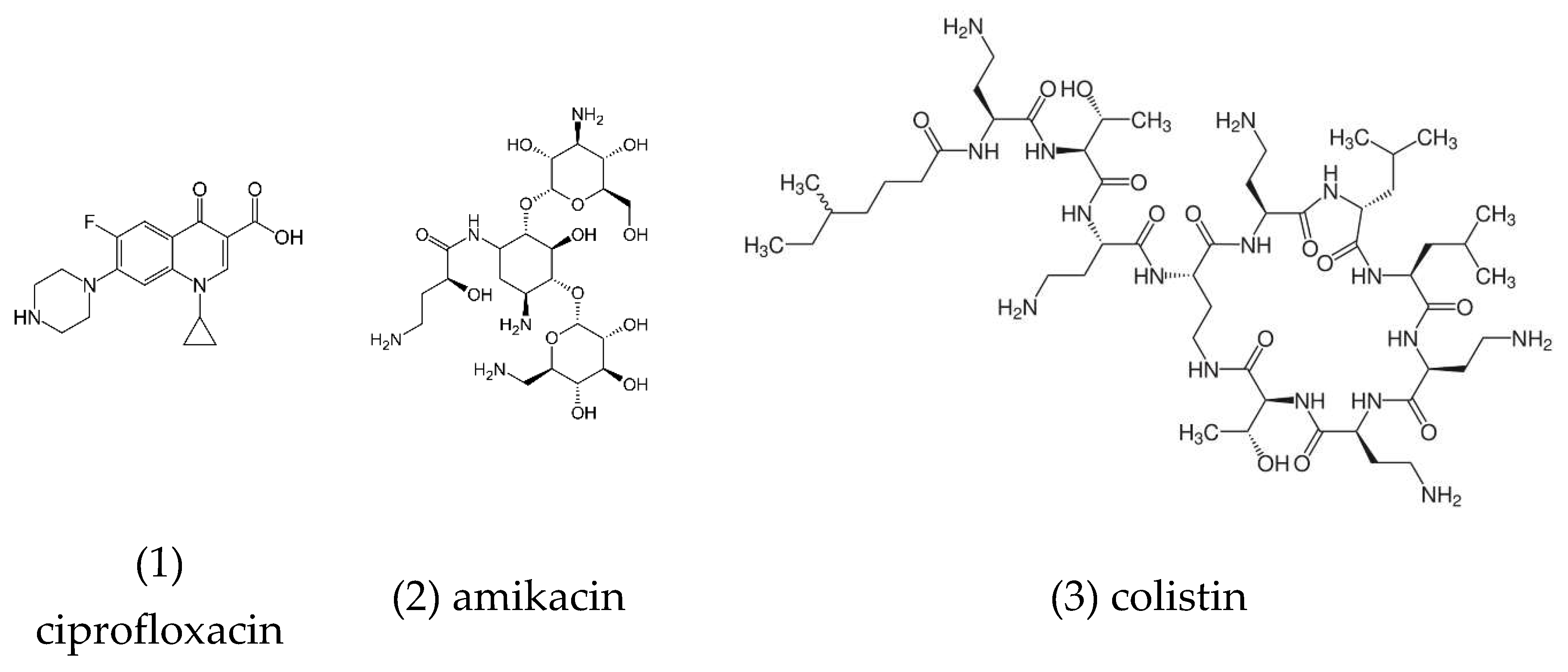 Preprints 70888 g003