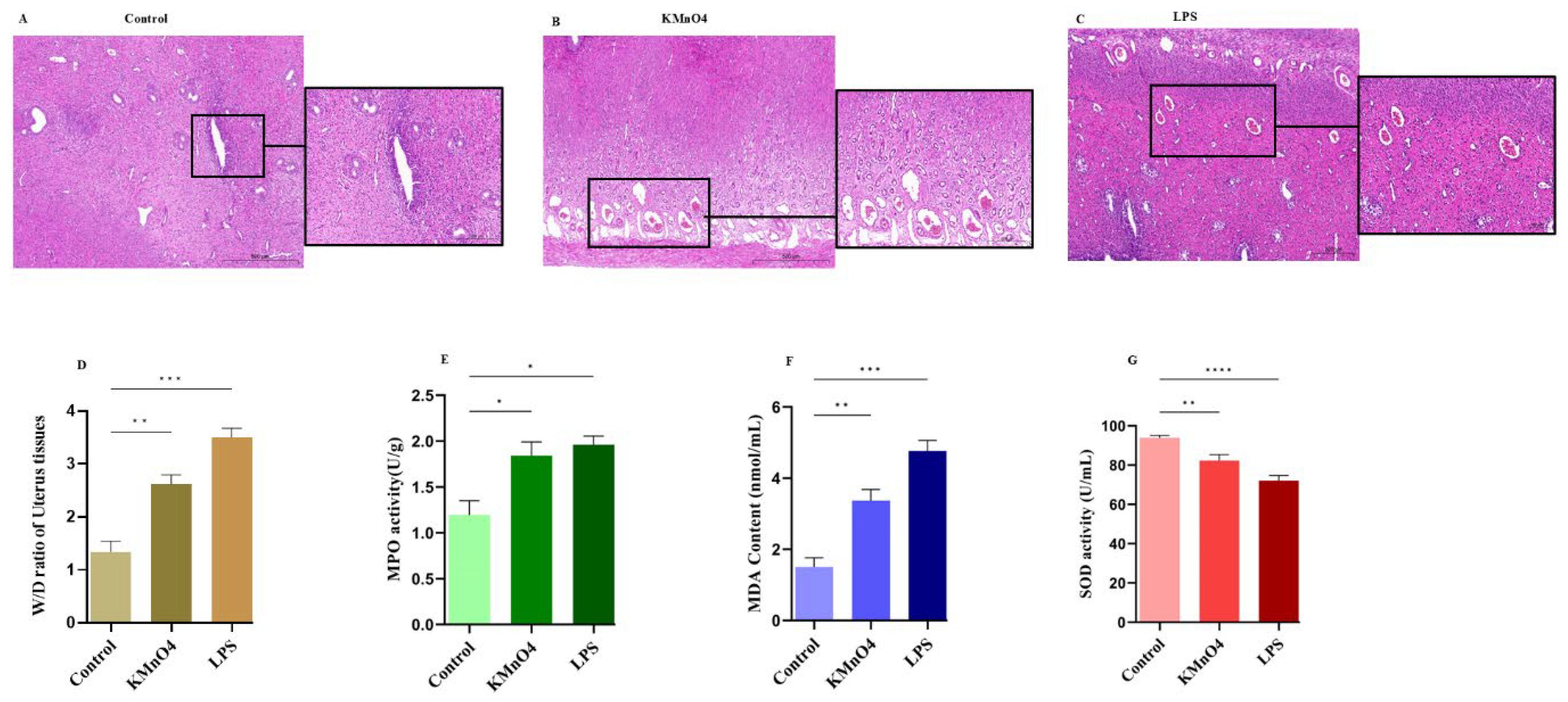 Preprints 142016 g001