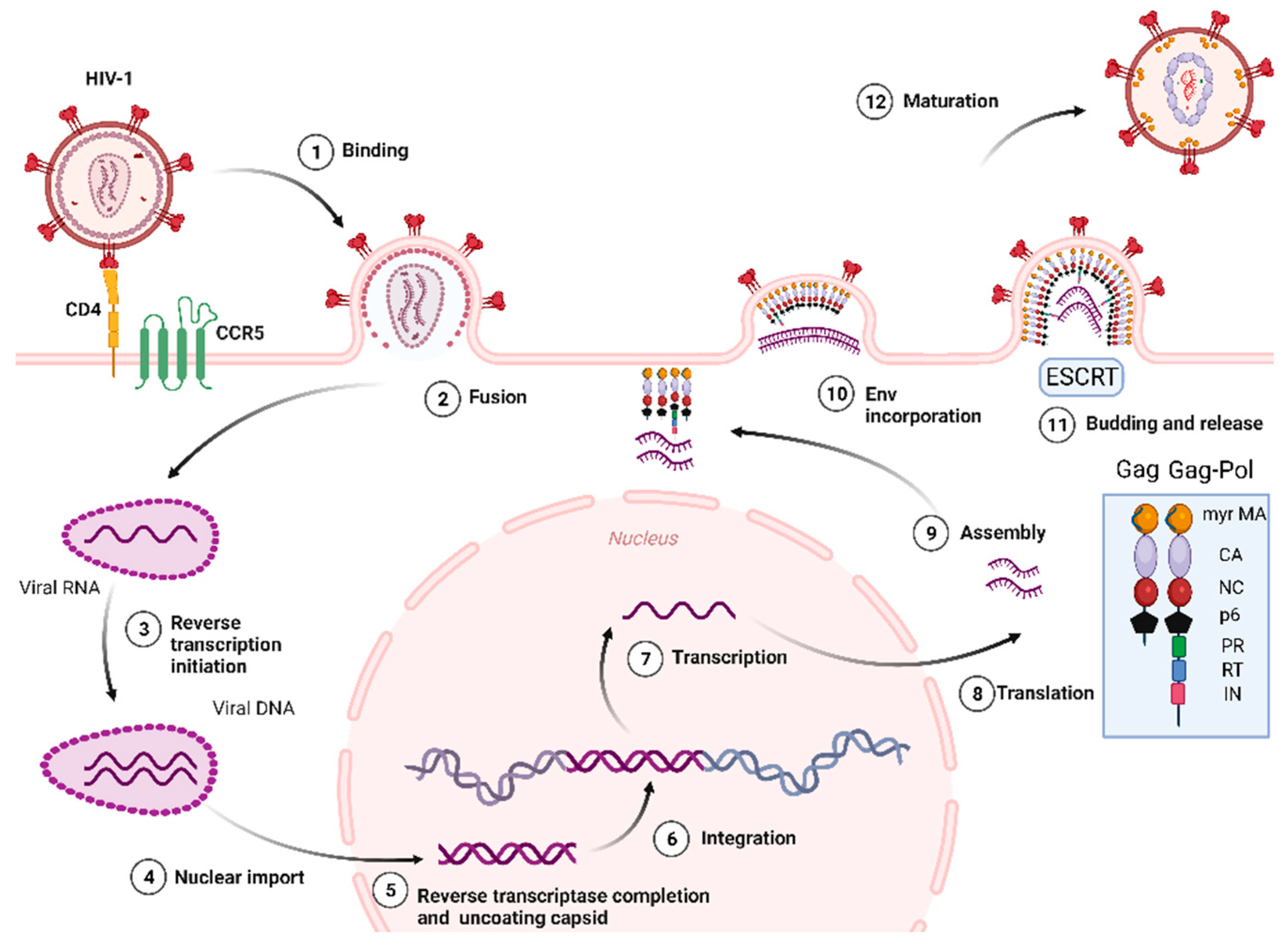 Preprints 96652 g001