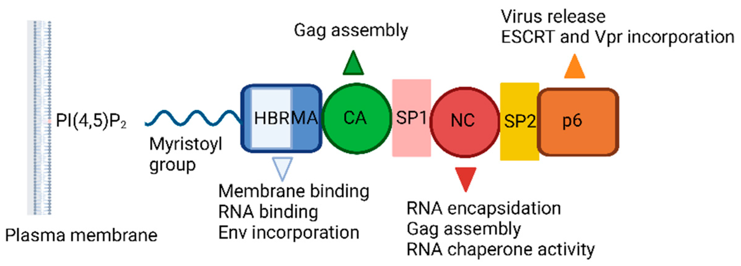 Preprints 96652 g008