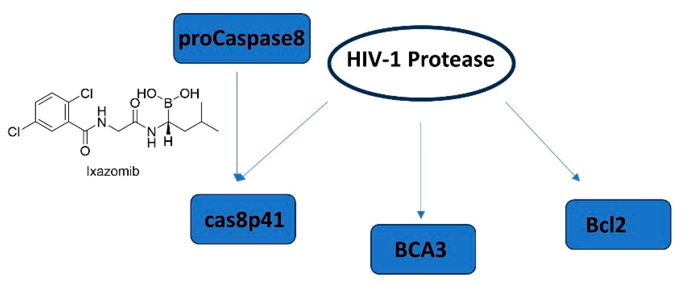 Preprints 96652 g014