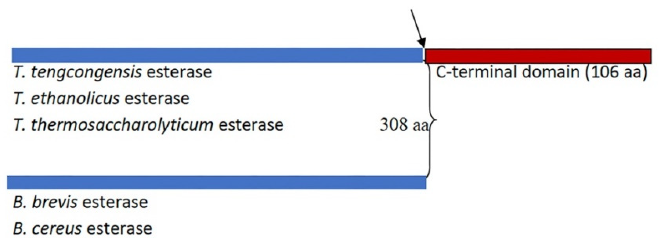 Preprints 90892 g001