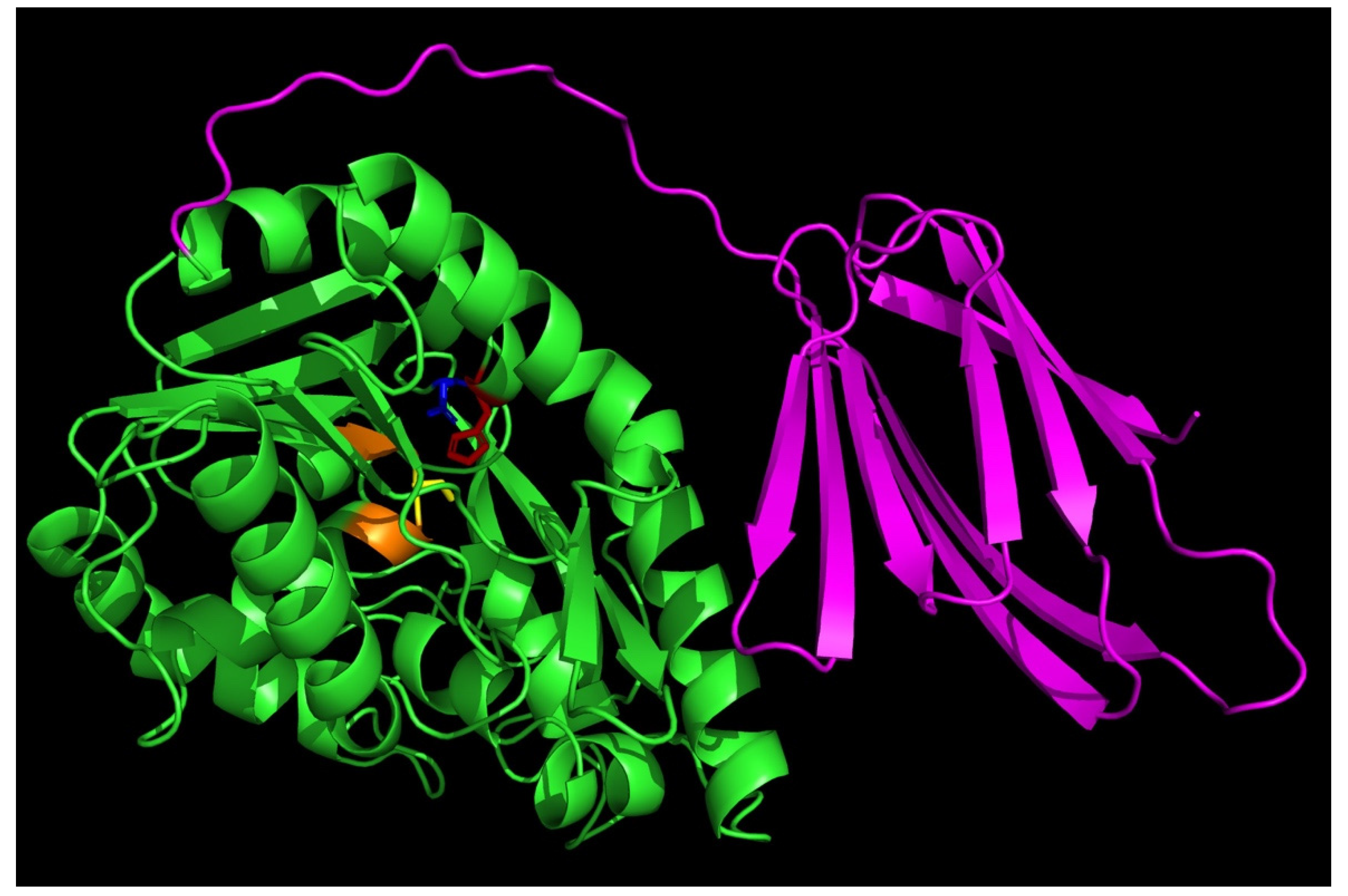 Preprints 90892 g002