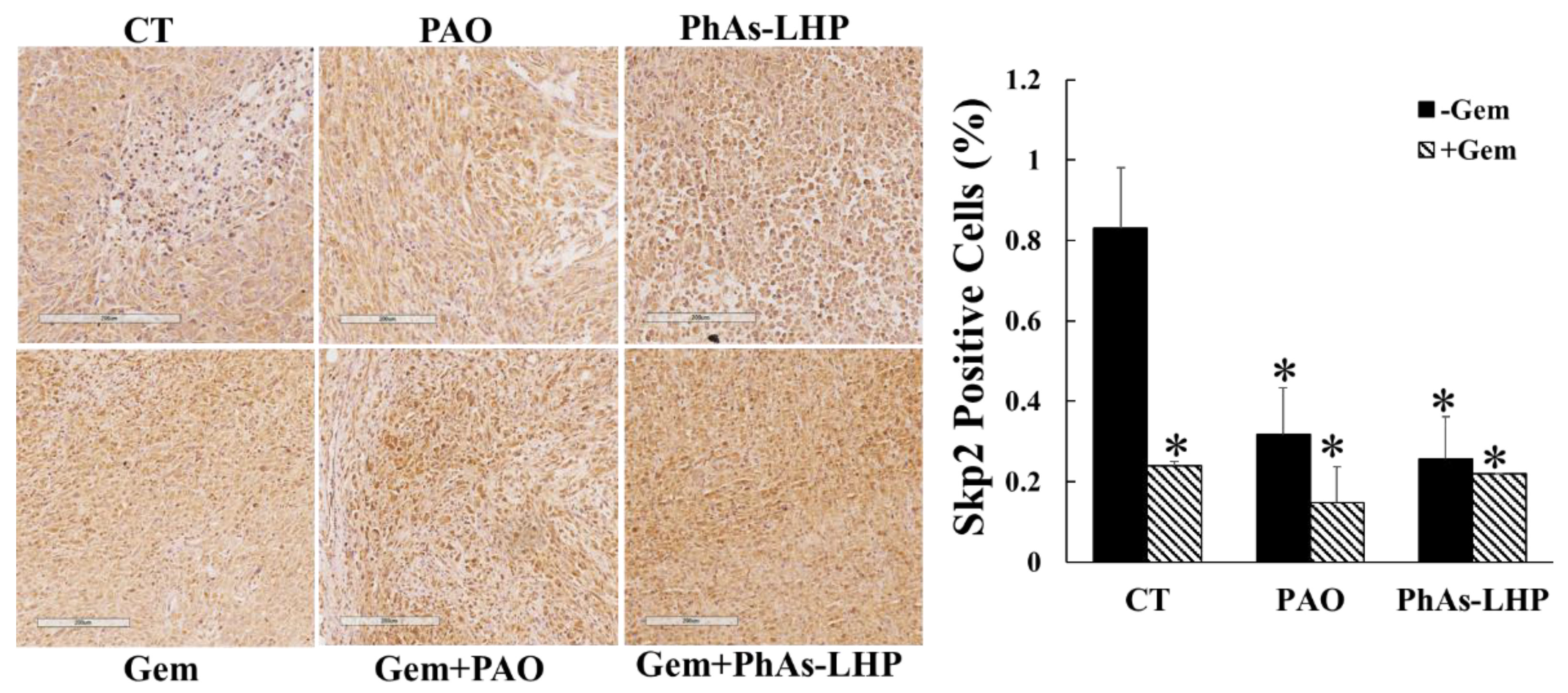 Preprints 110842 g007