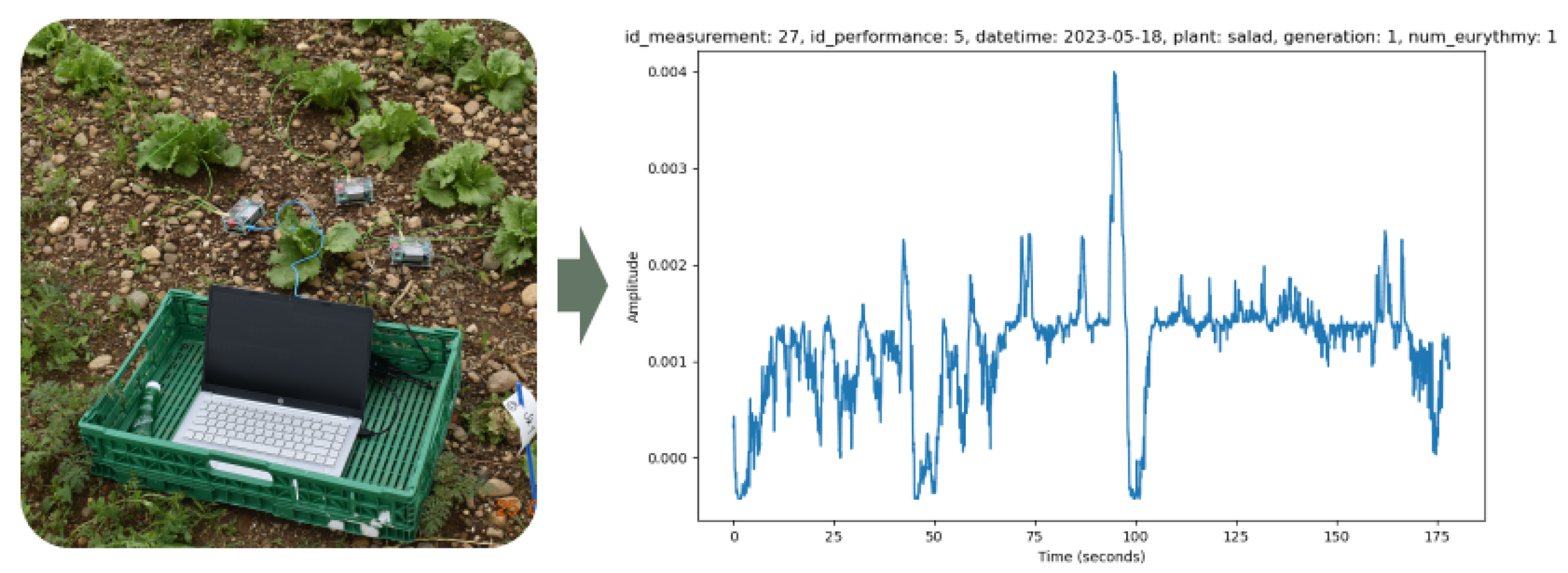 Preprints 103258 g002