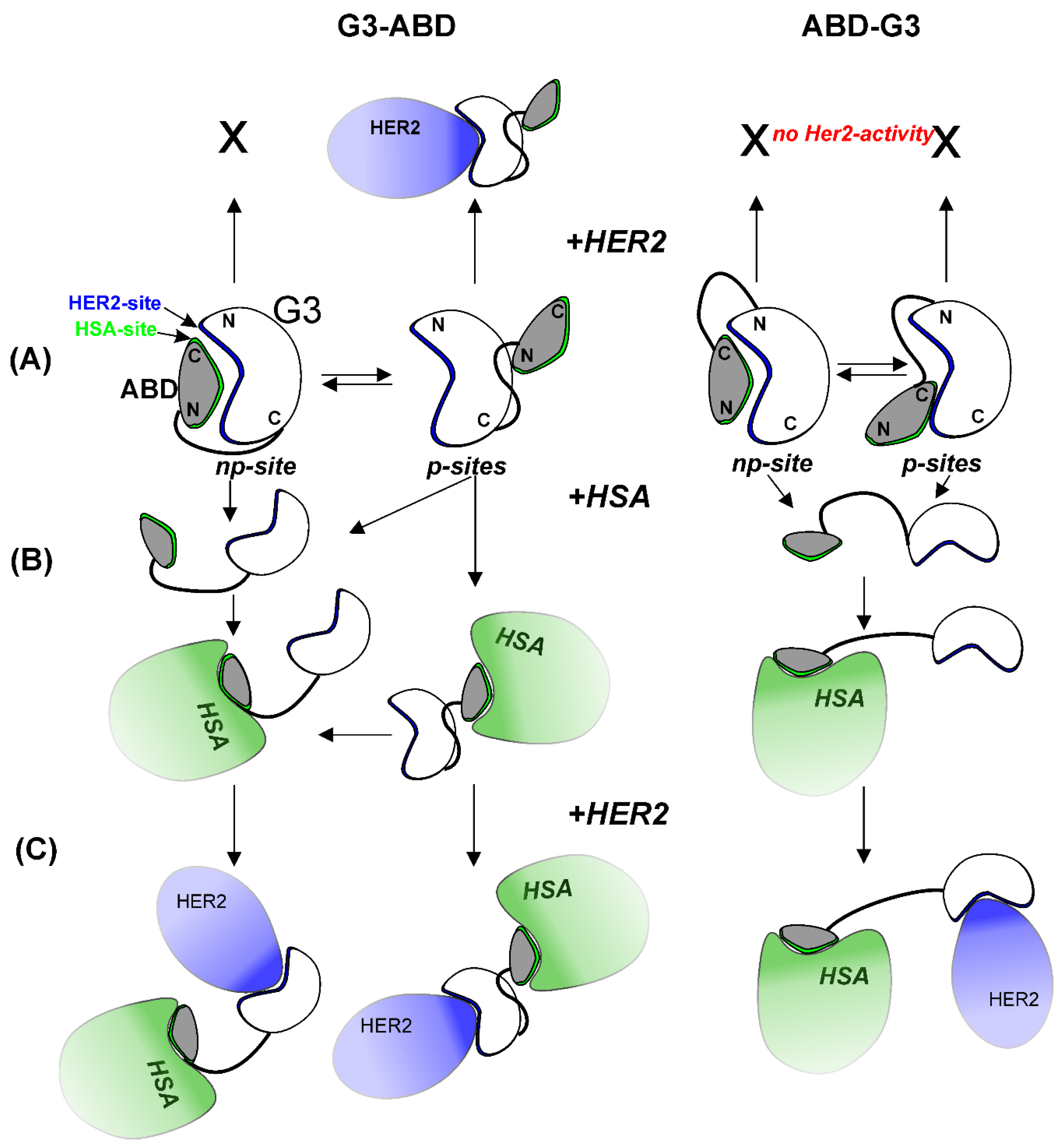 Preprints 118965 g003