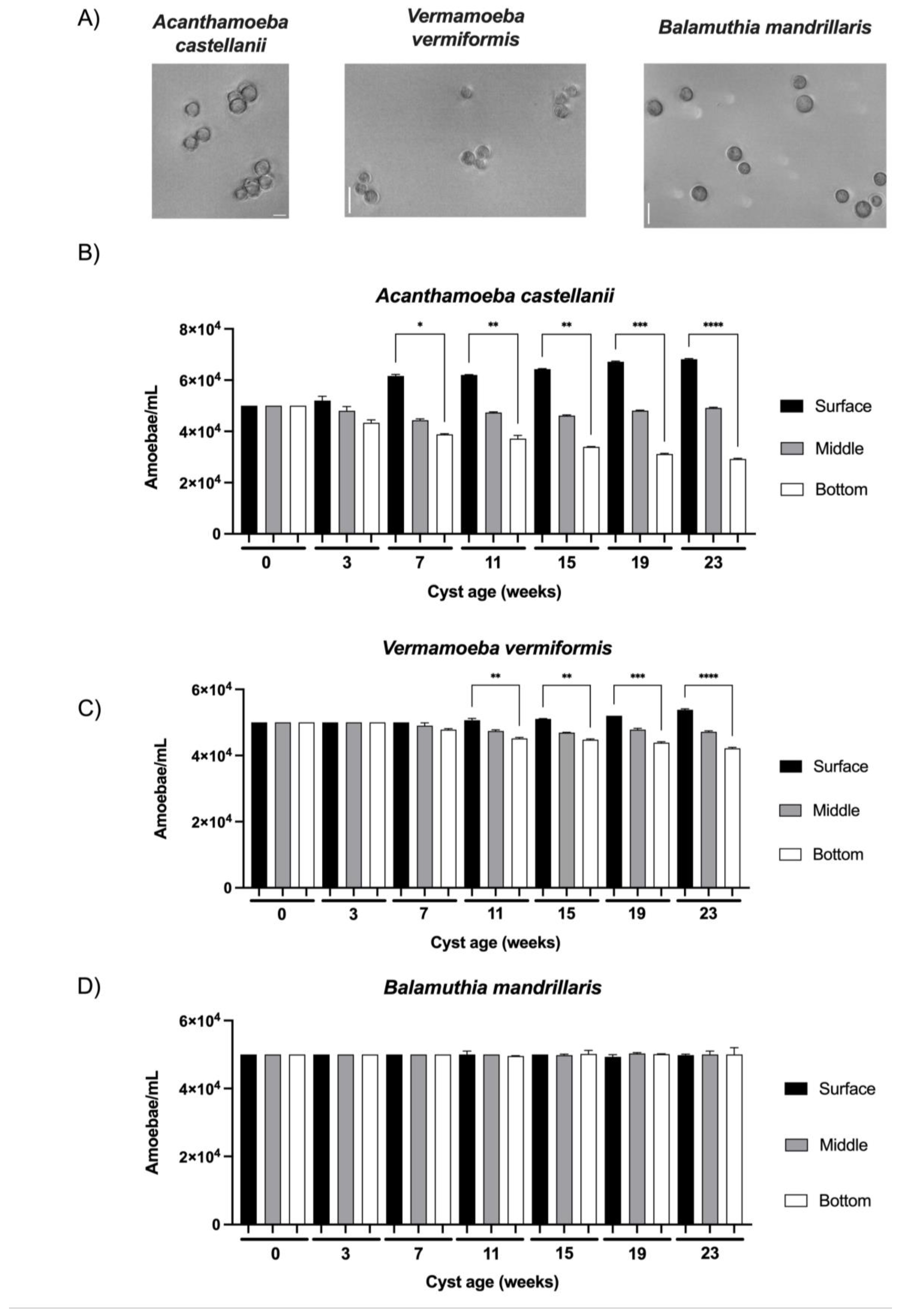 Preprints 96627 g002