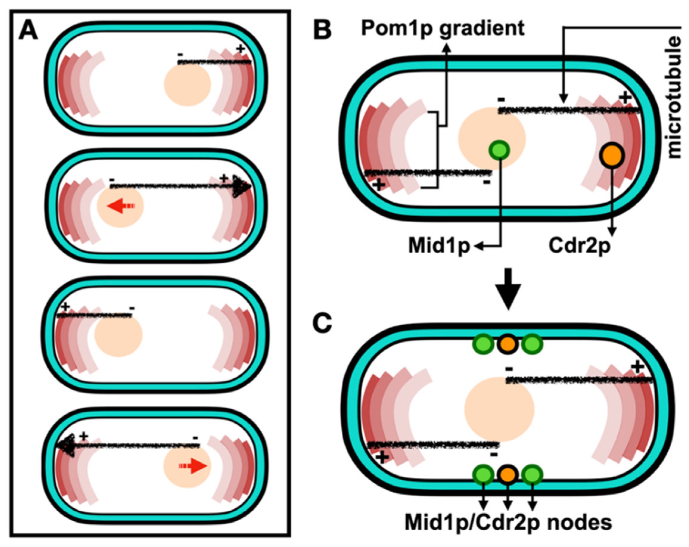 Preprints 90983 g001