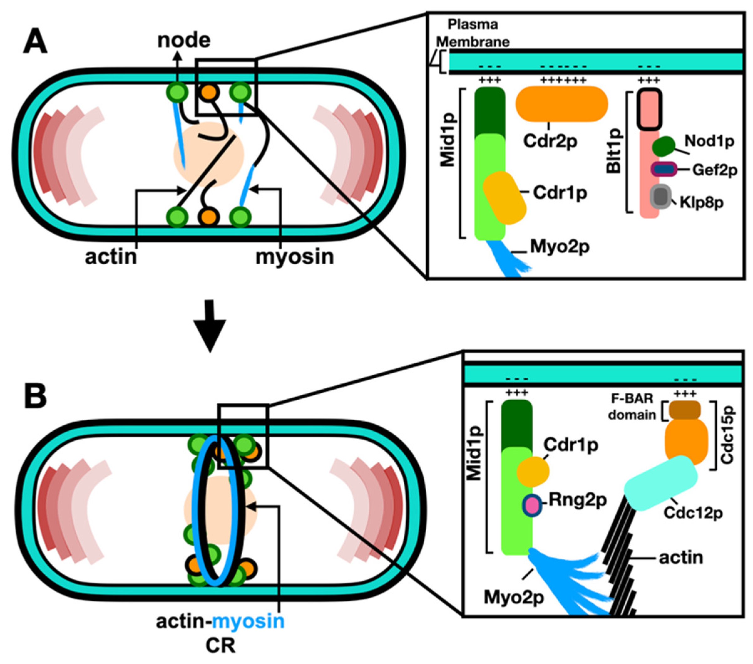 Preprints 90983 g002