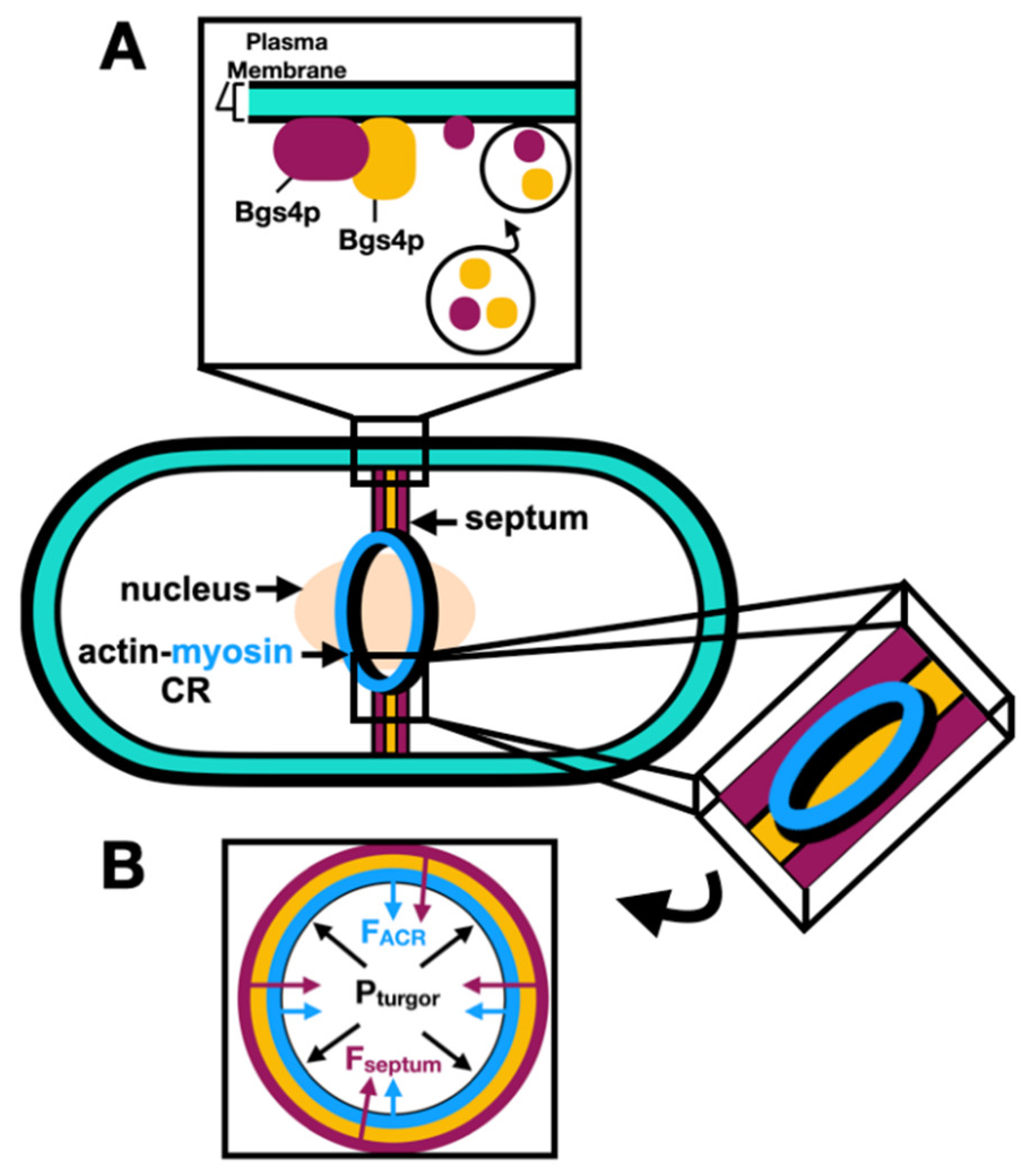 Preprints 90983 g003