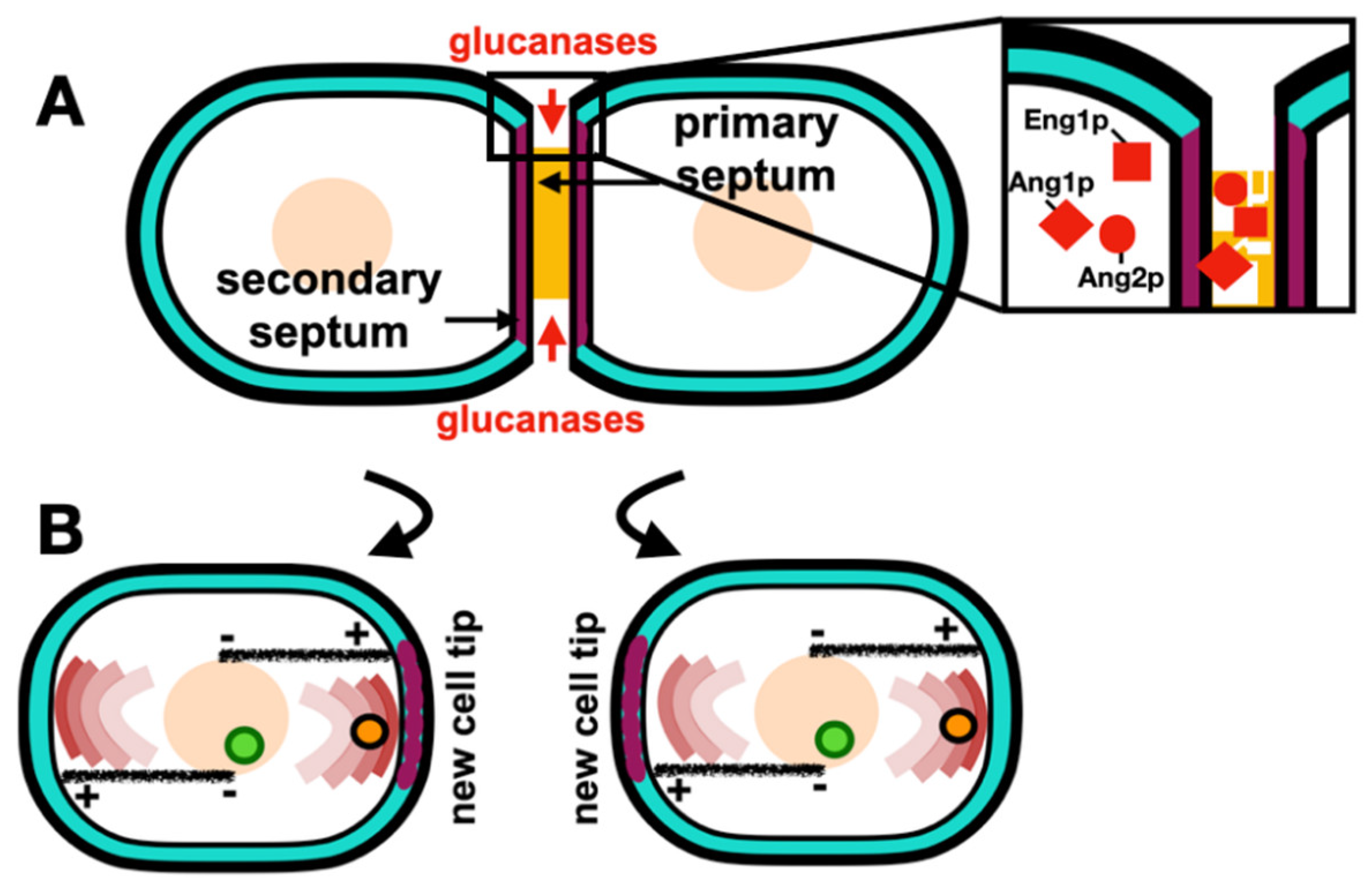 Preprints 90983 g004