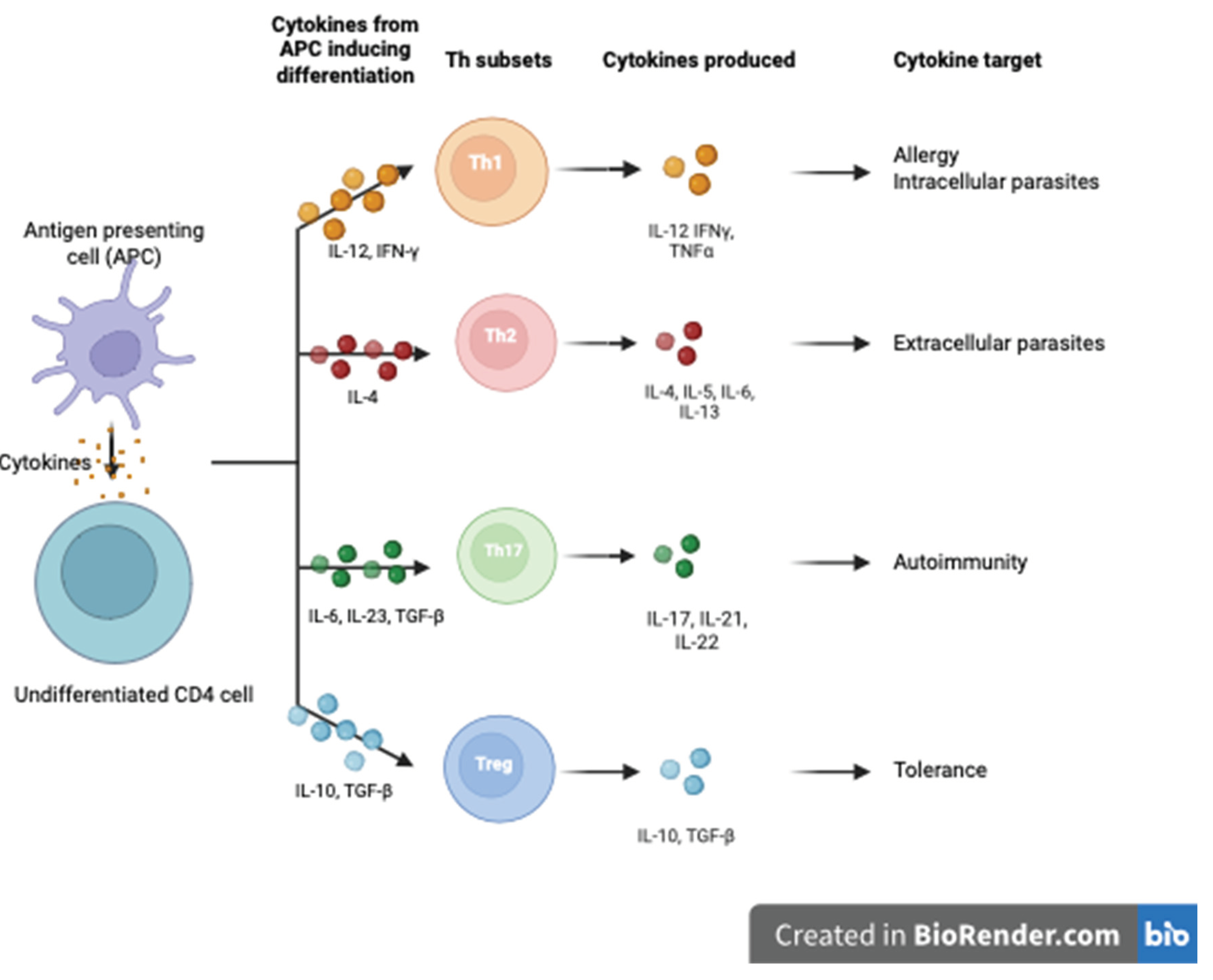 Preprints 102274 g001