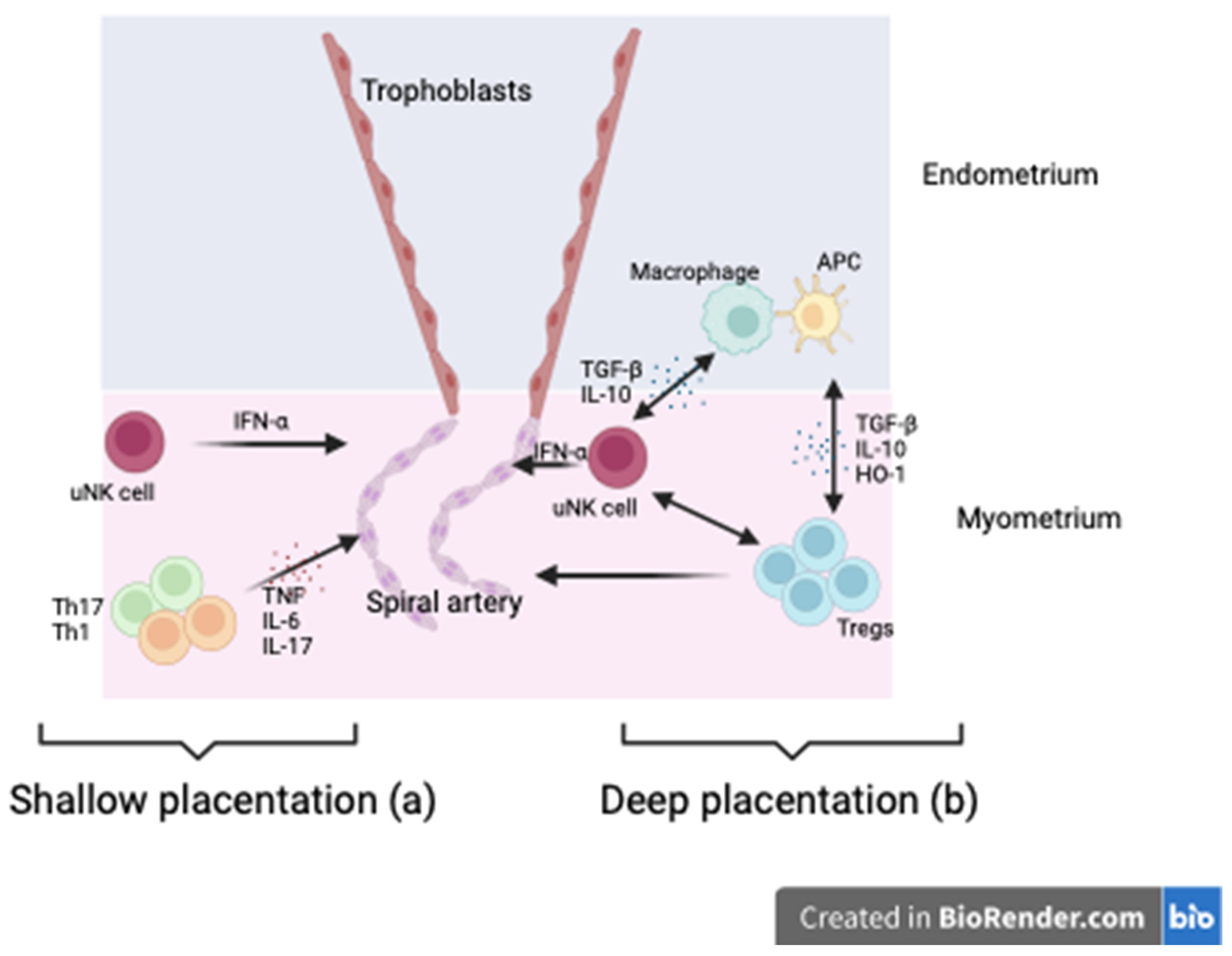 Preprints 102274 g003