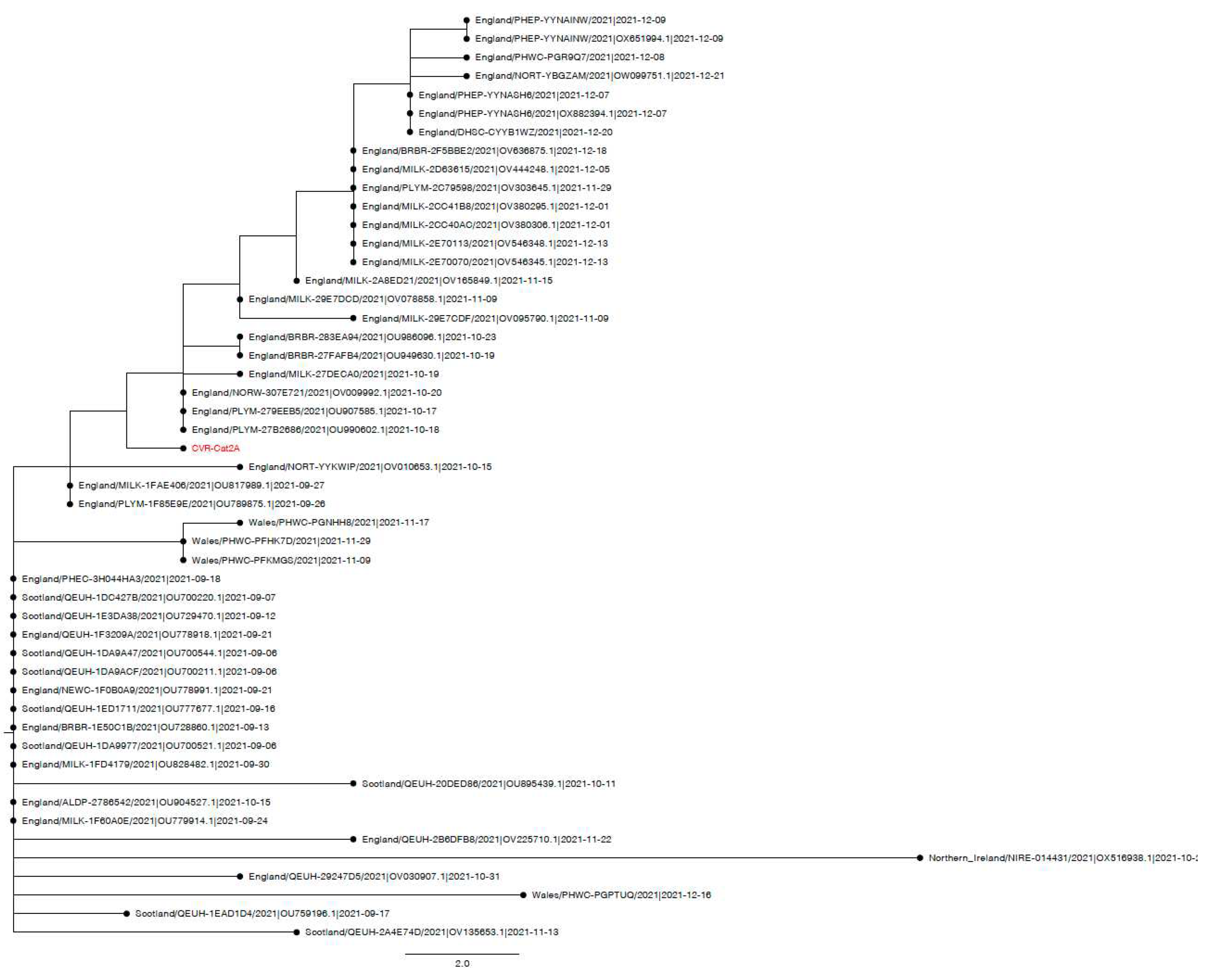 Preprints 81403 g0a2