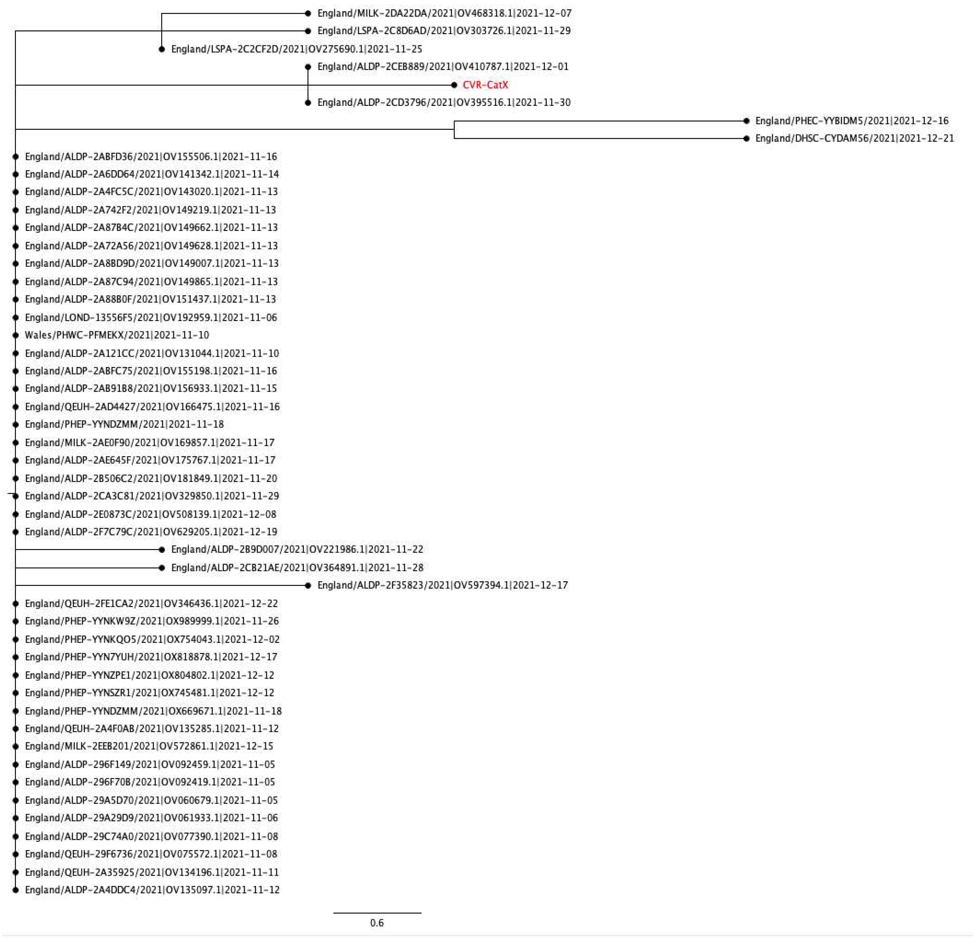 Preprints 81403 g0a3