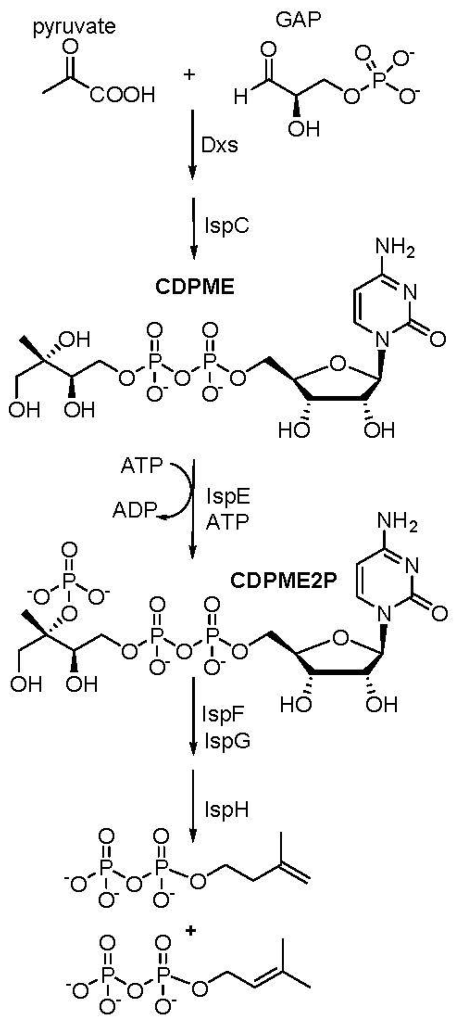 Preprints 92410 g001