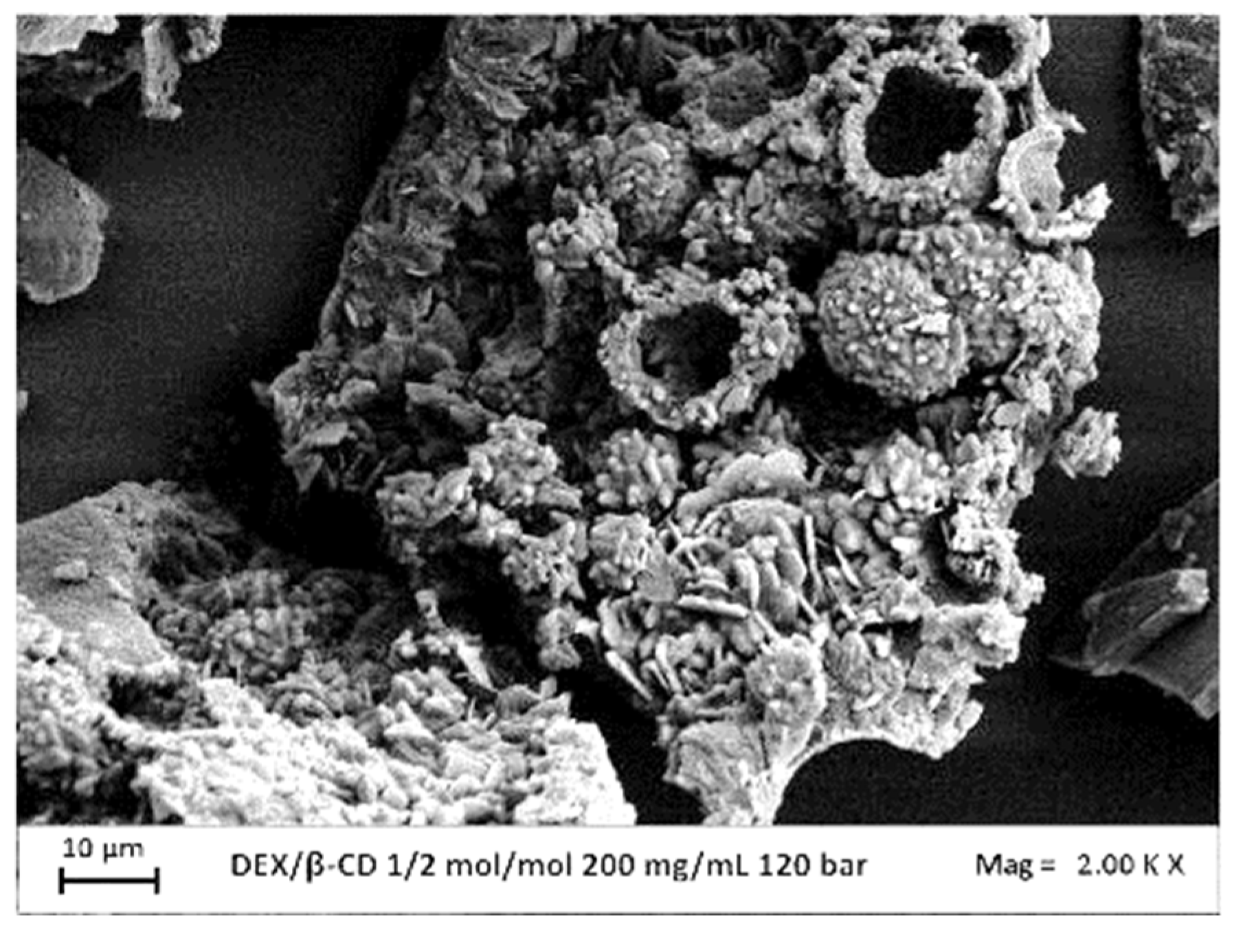 Preprints 91574 g004