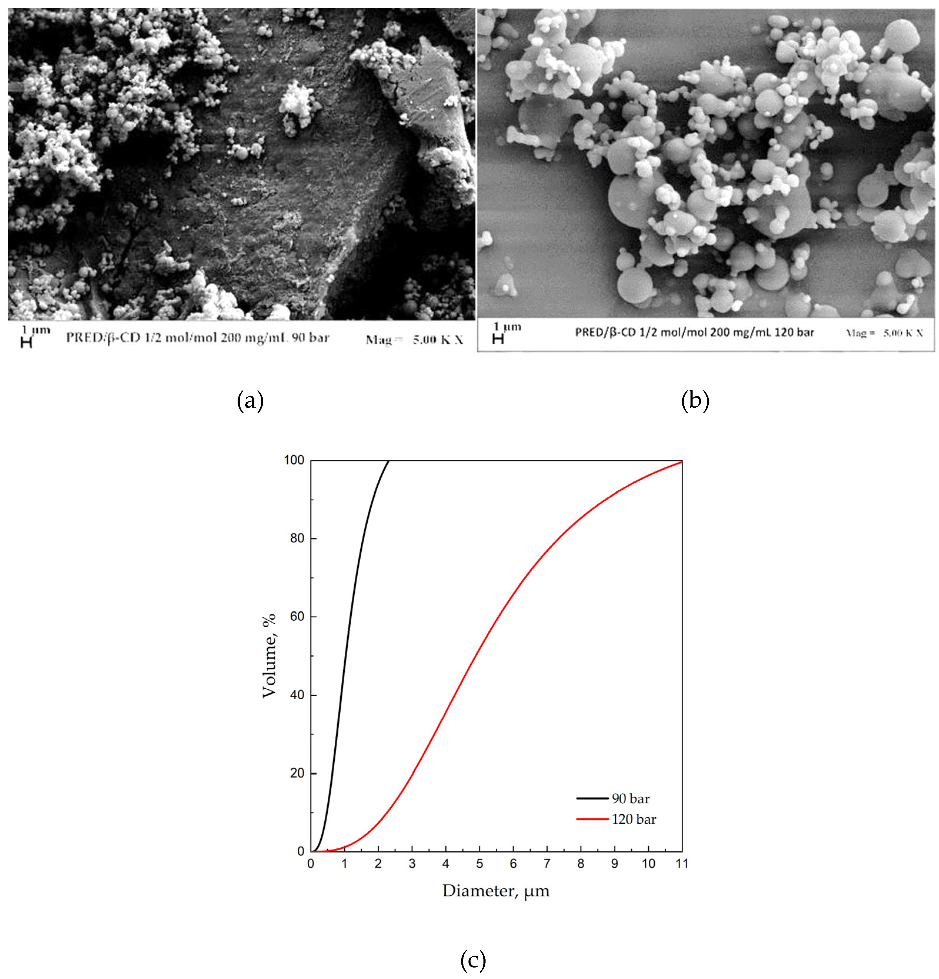 Preprints 91574 g006