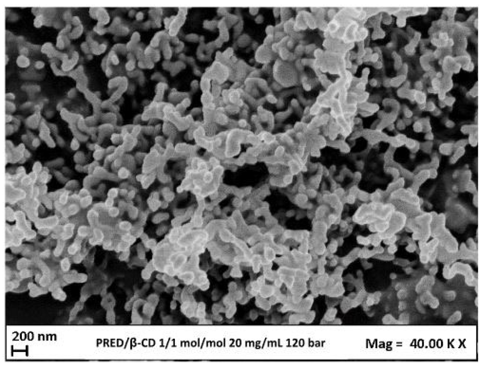 Preprints 91574 g008