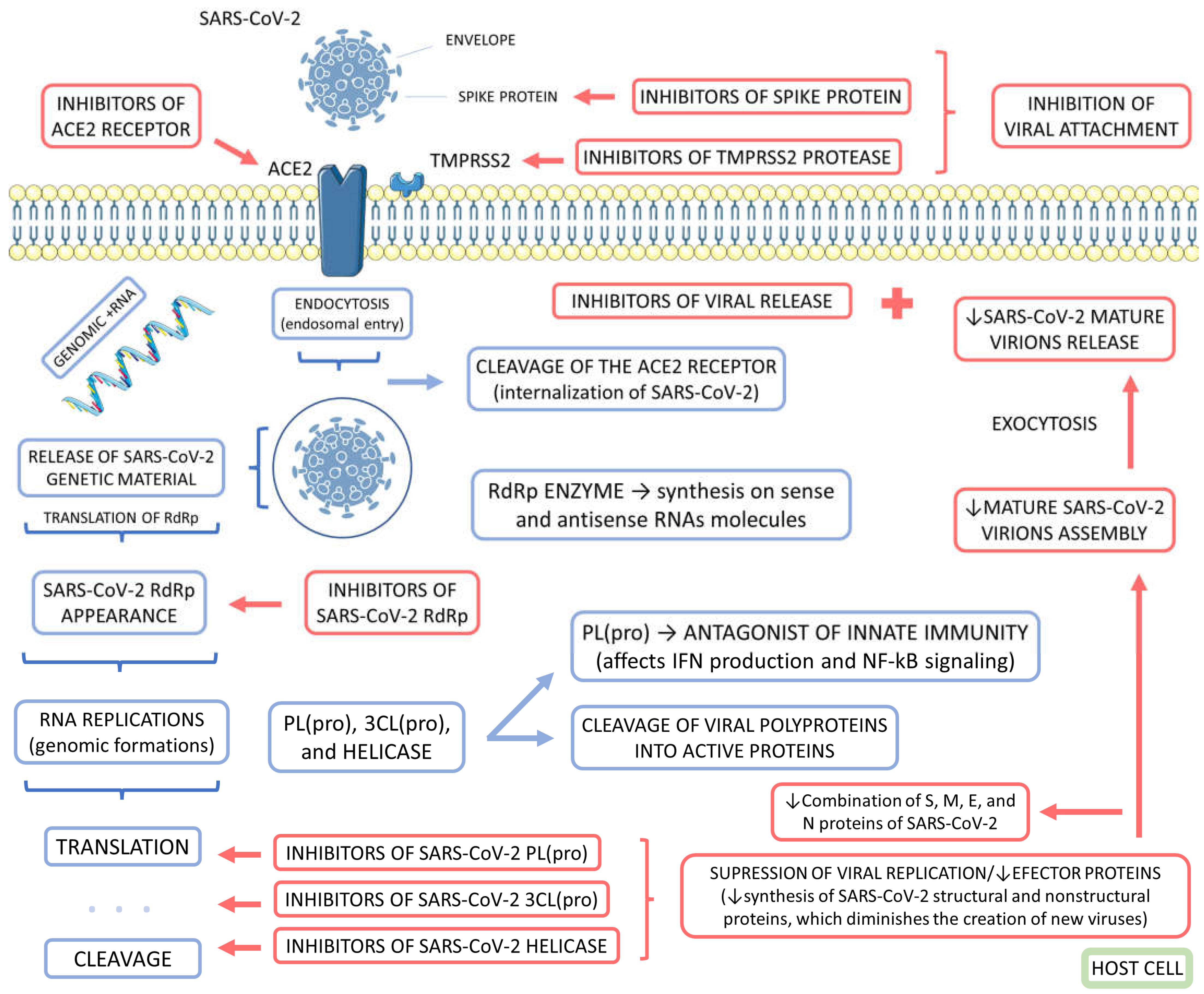 Preprints 73181 g003