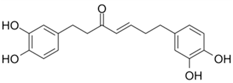 Preprints 73181 i006