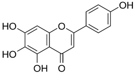 Preprints 73181 i007