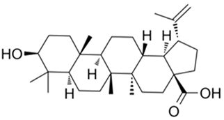 Preprints 73181 i015