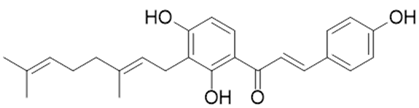 Preprints 73181 i016