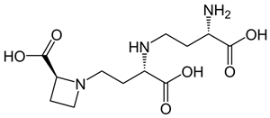 Preprints 73181 i024