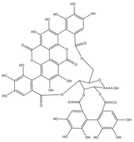 Preprints 73181 i041