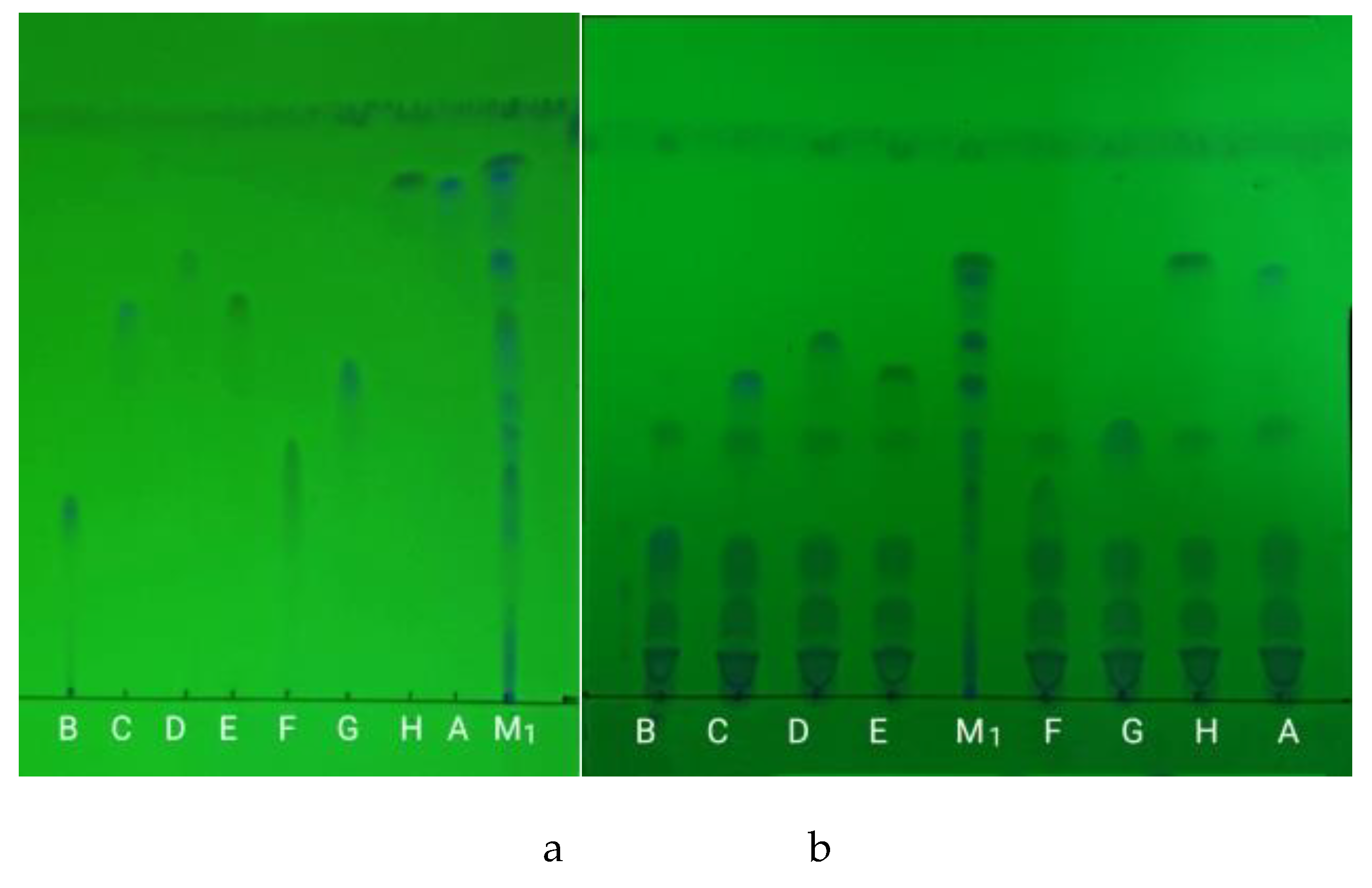 Preprints 82485 g002