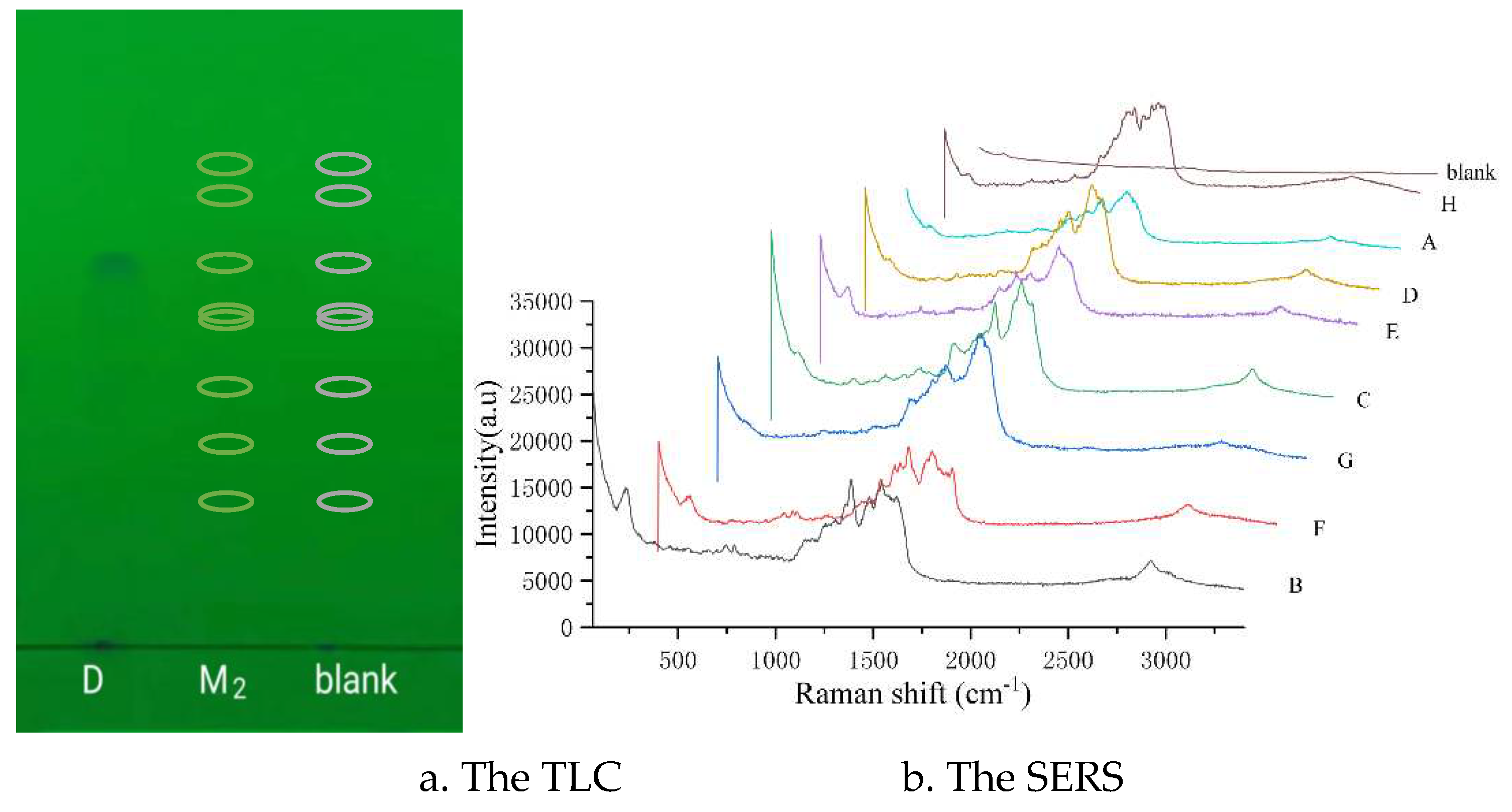 Preprints 82485 g003