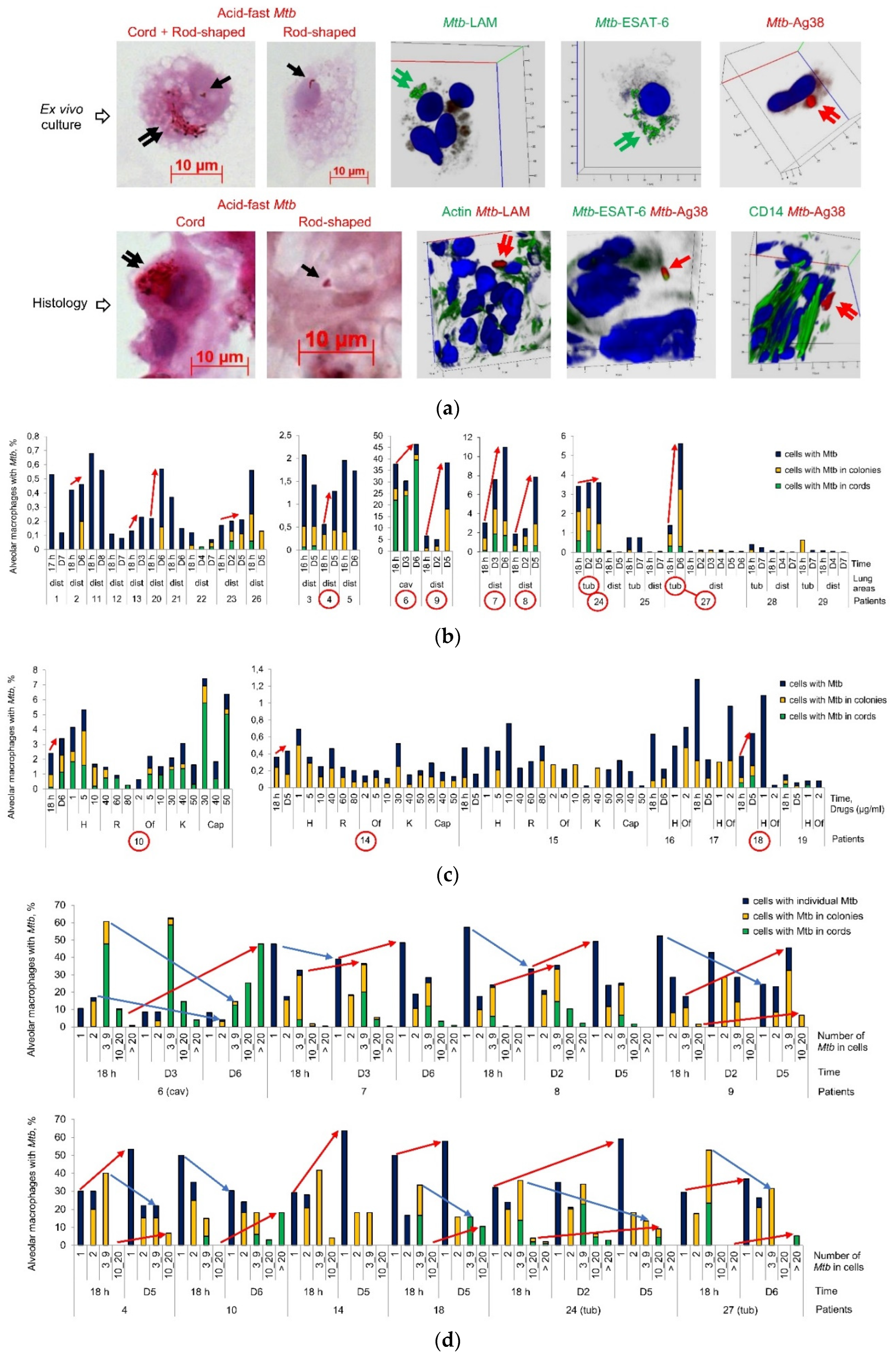 Preprints 82704 g001