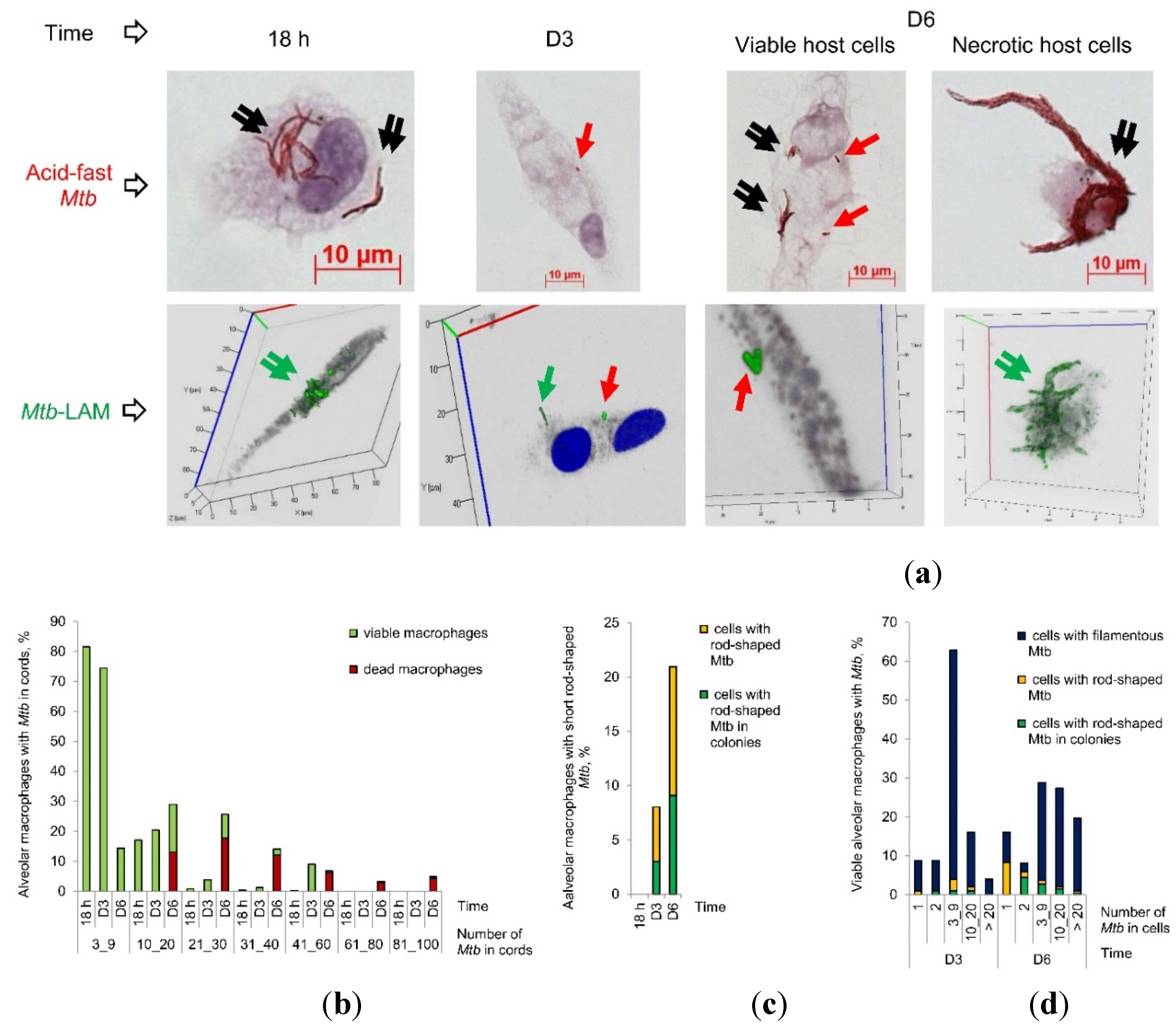 Preprints 82704 g002