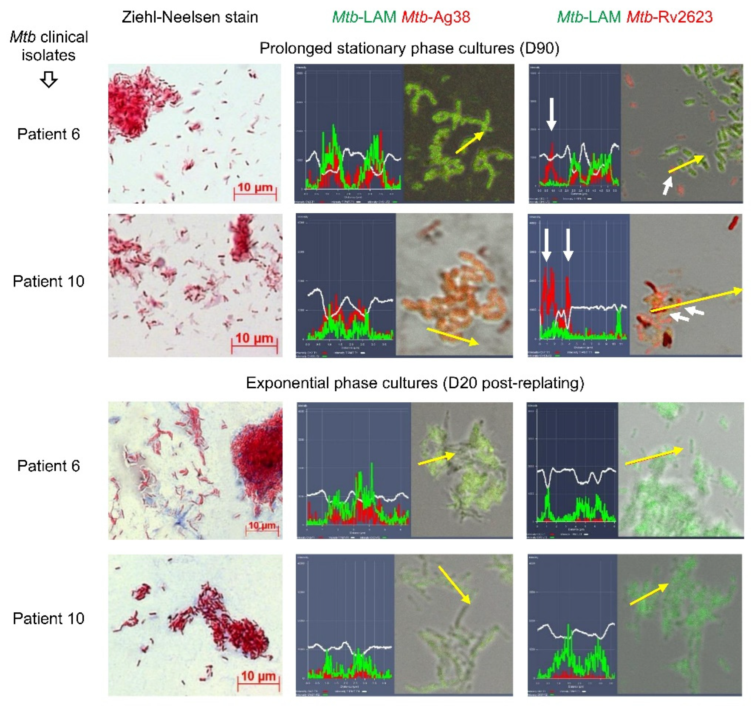 Preprints 82704 g003