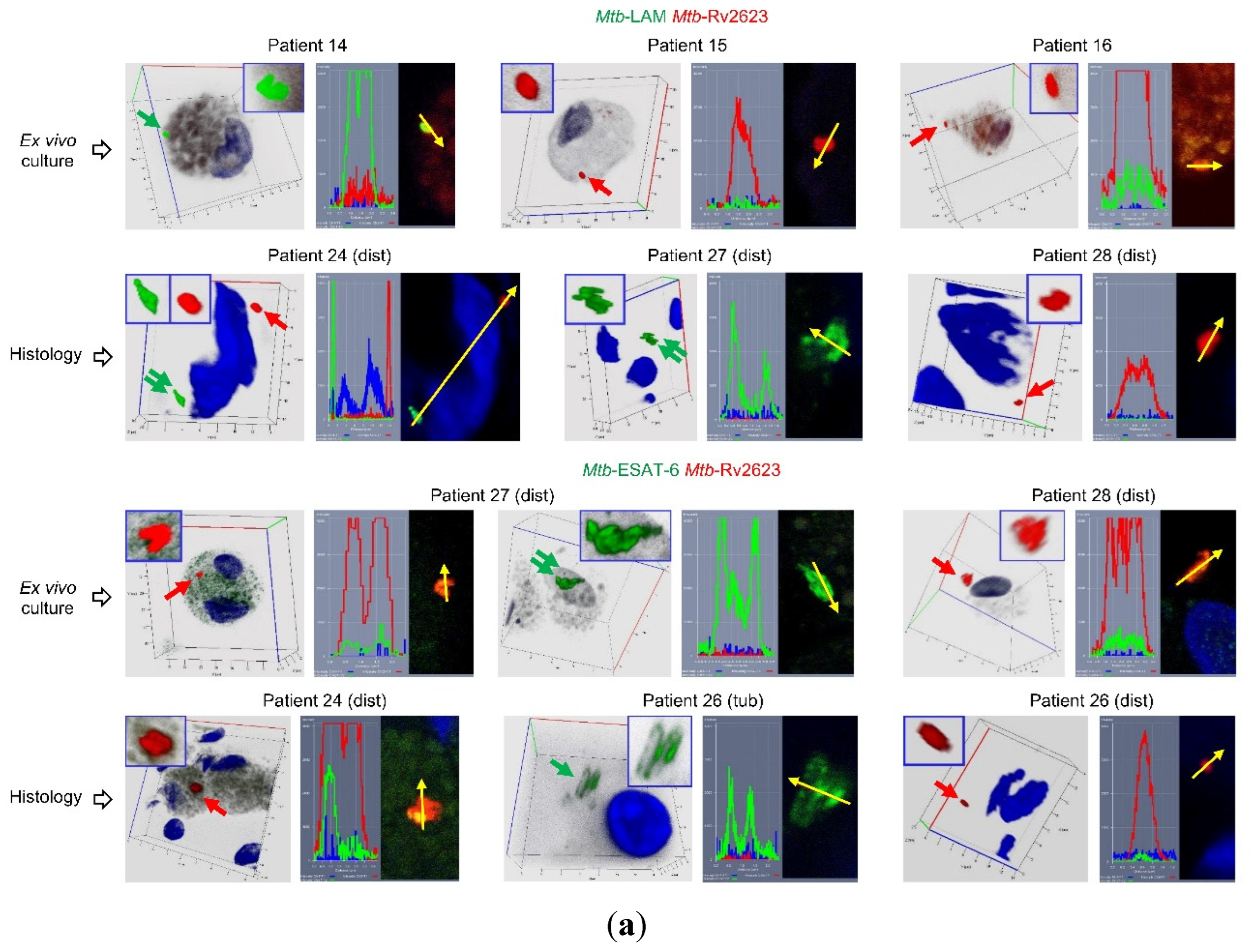 Preprints 82704 g004a